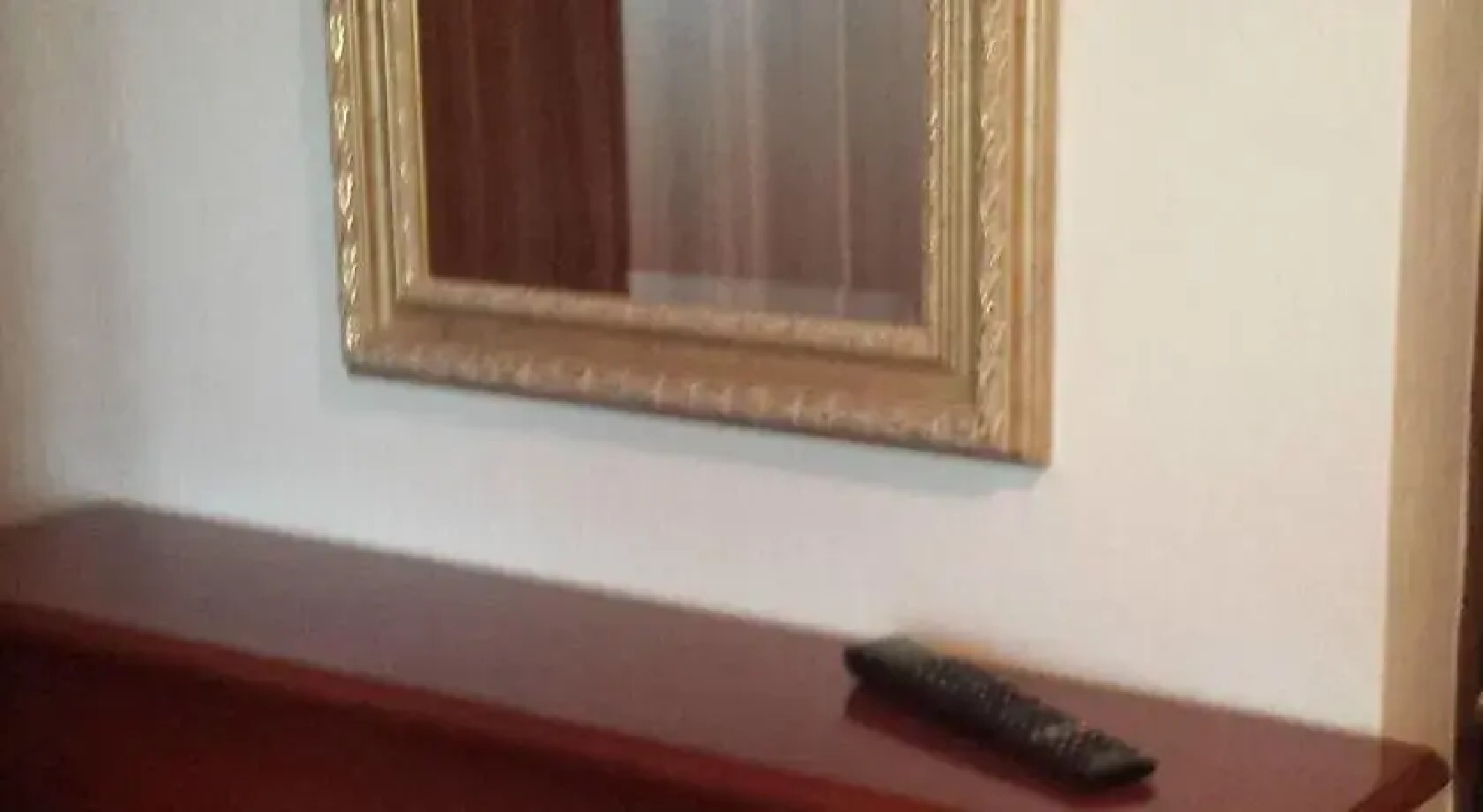 Gasthaus Schwan / Carlos Restaurant