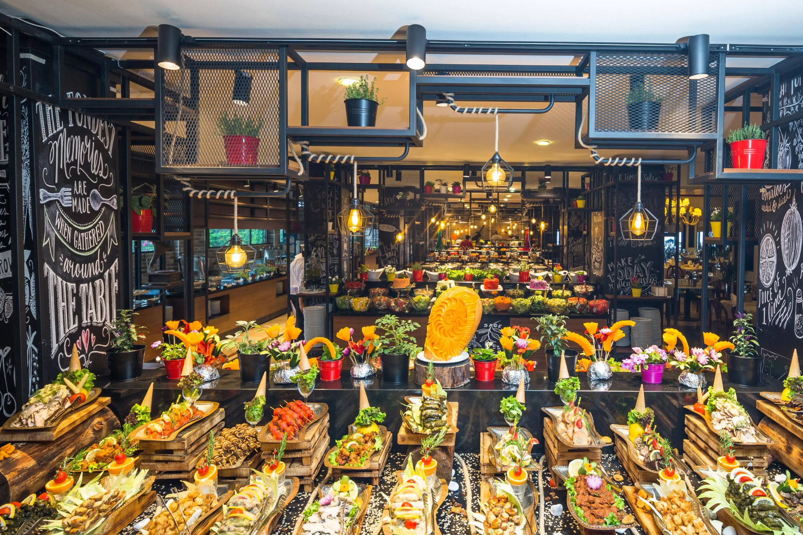 Gypsophila Club Marine