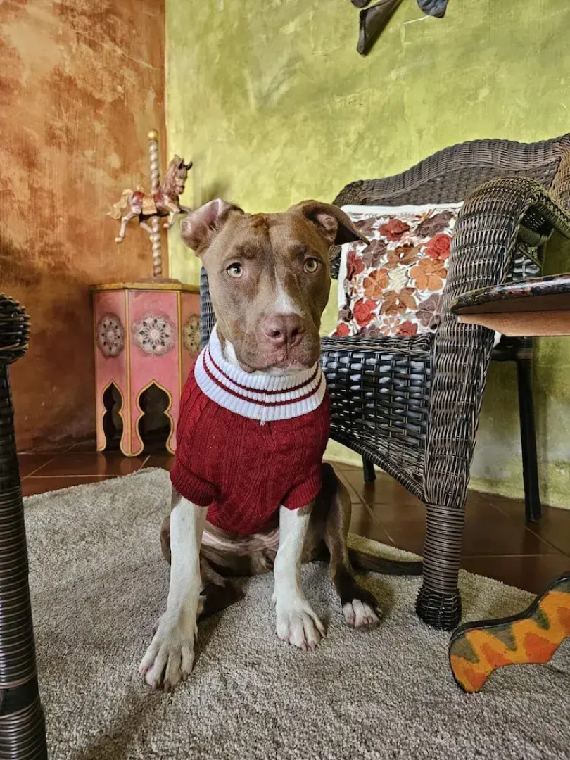 Atitlan Oasis Eco Hotel and Spa Kaalpul