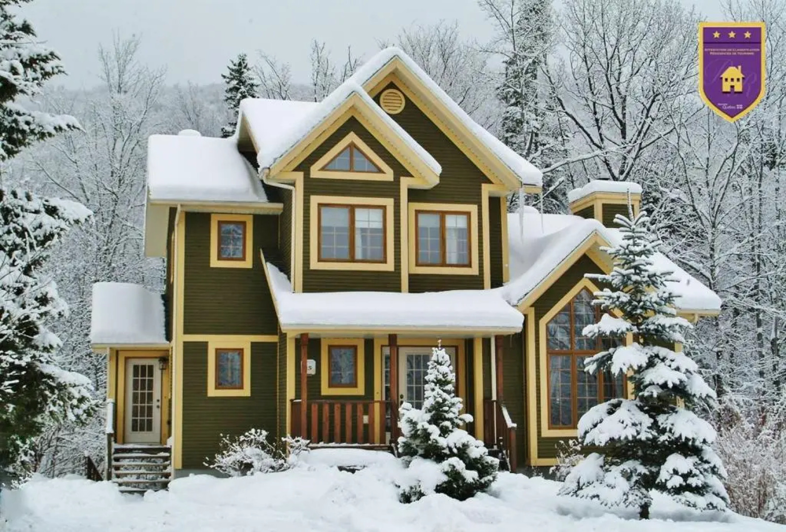 Chalets Alpins- 15 Chemin des Skieurs