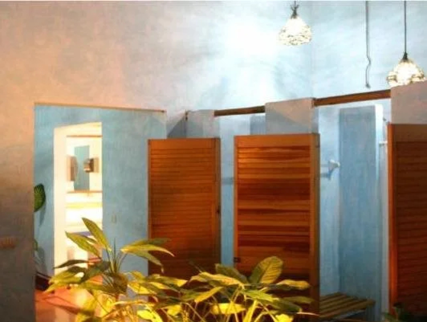 Expediciones Mexico Verde