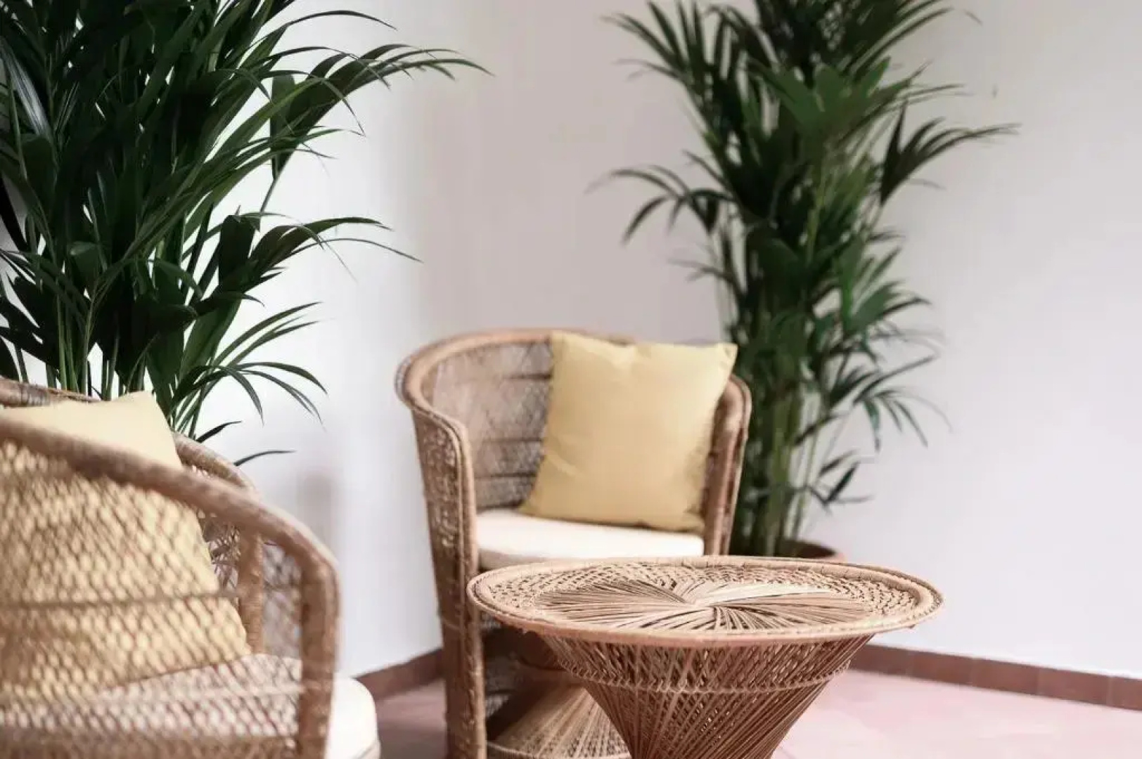Villa Arnica Suites & Garden