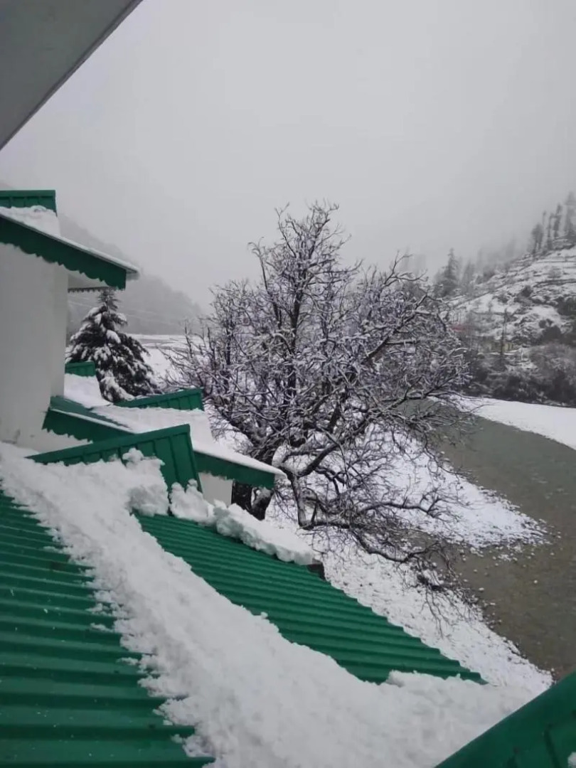 Prakriti-The Retreat