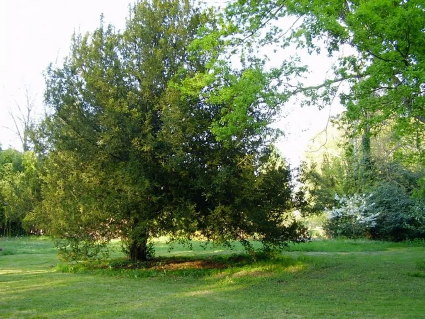 Chambres dhôtes Le Pont Romain