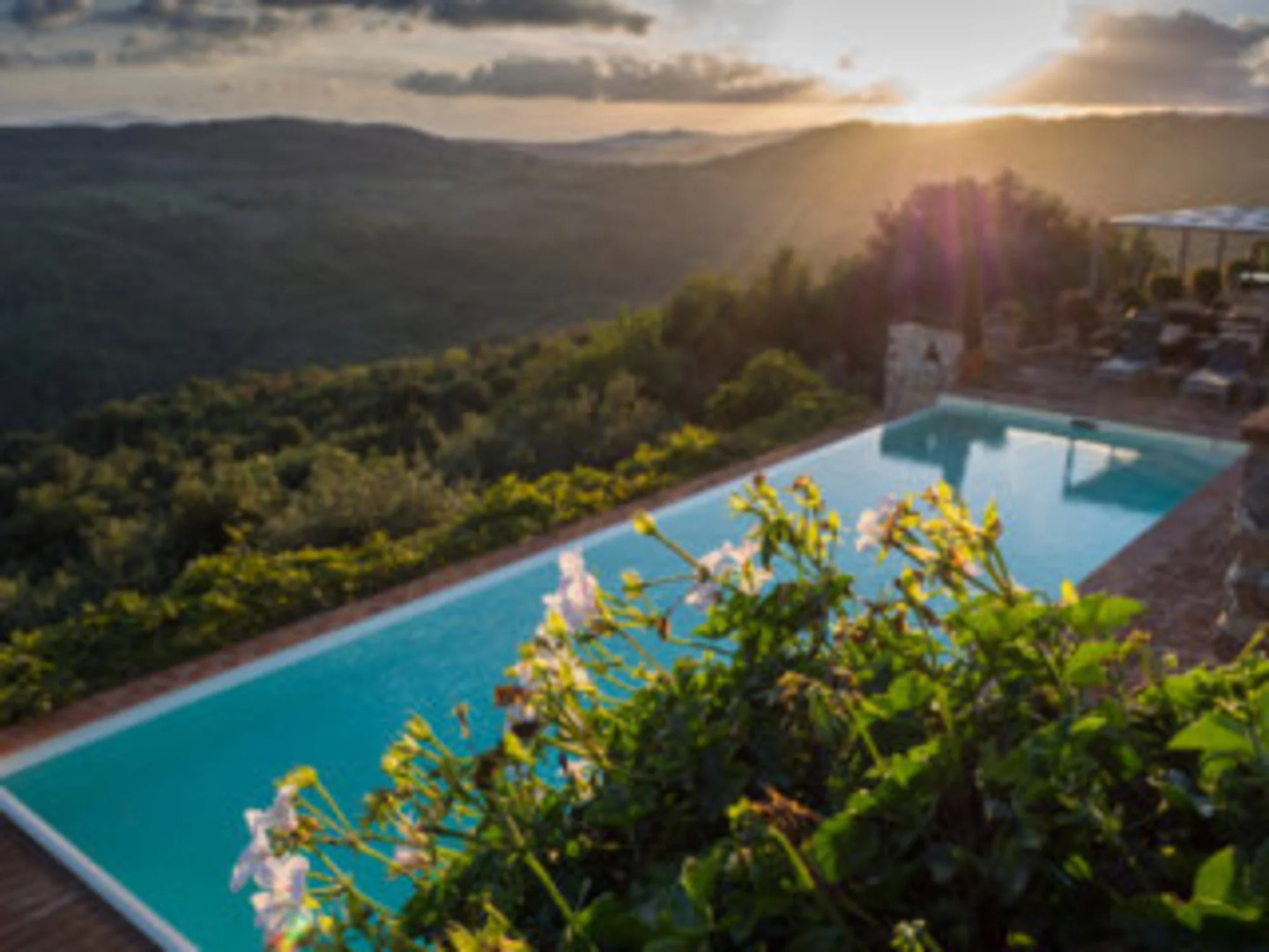 poggio alla rocca - corbezzolo