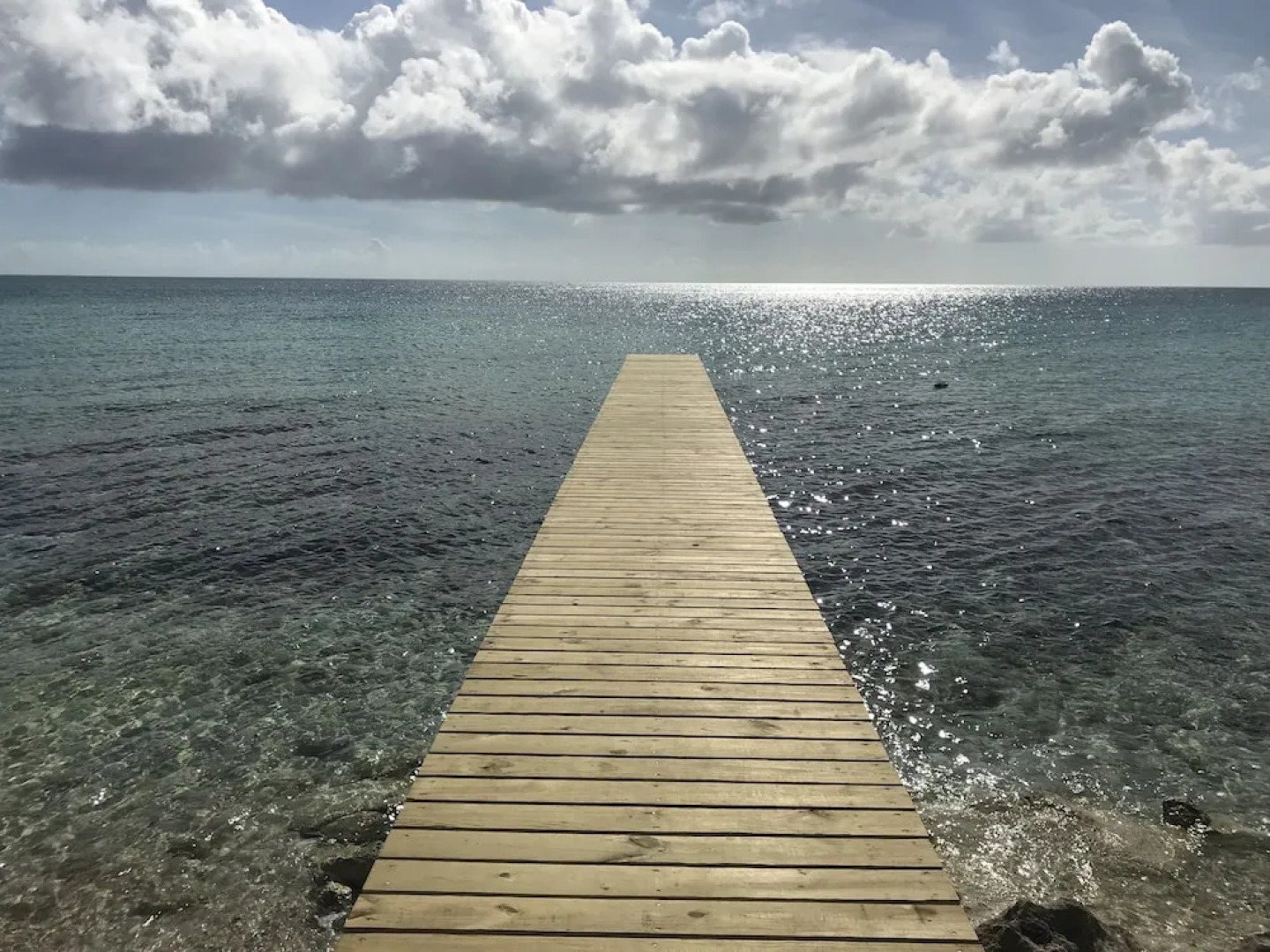 Buttonwood Reserve 2D