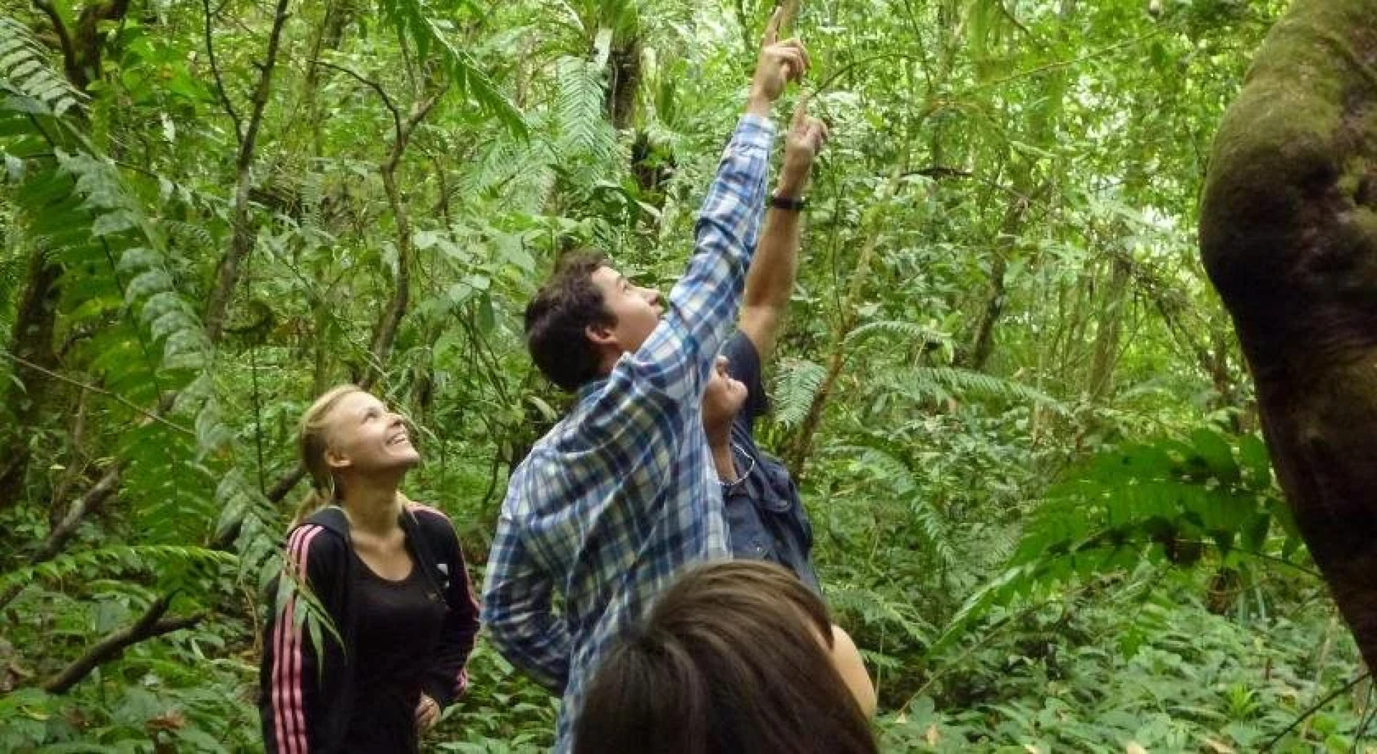 Sang Giri - Mountain Glamping Camp