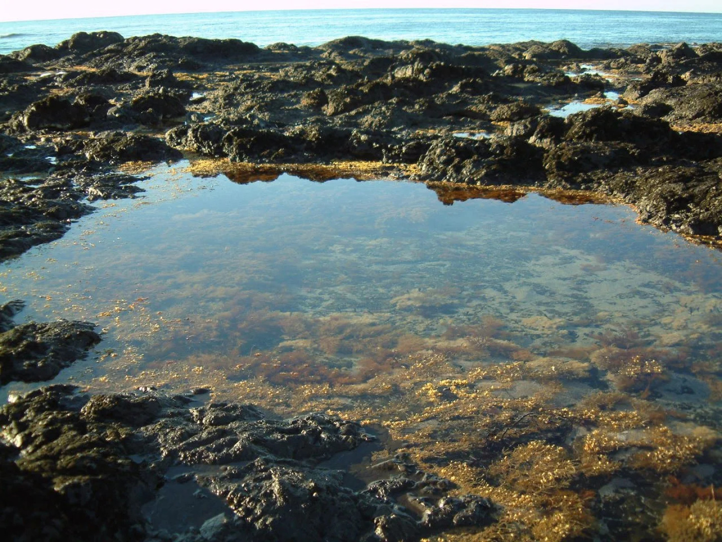 Bear Gully Coastal Cottages