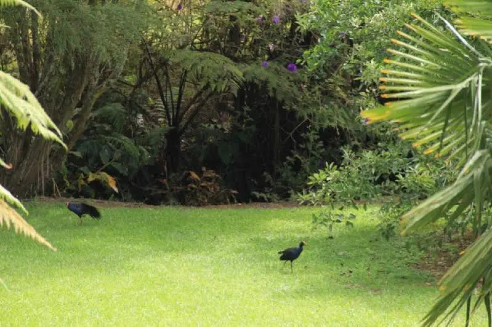 Fantail Lodge Backpackers