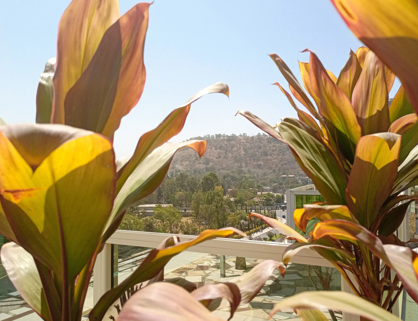 Central Hawassa hotel