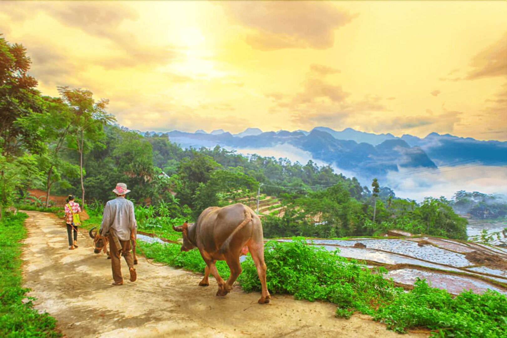 Resort Pù luông Boutique Garden