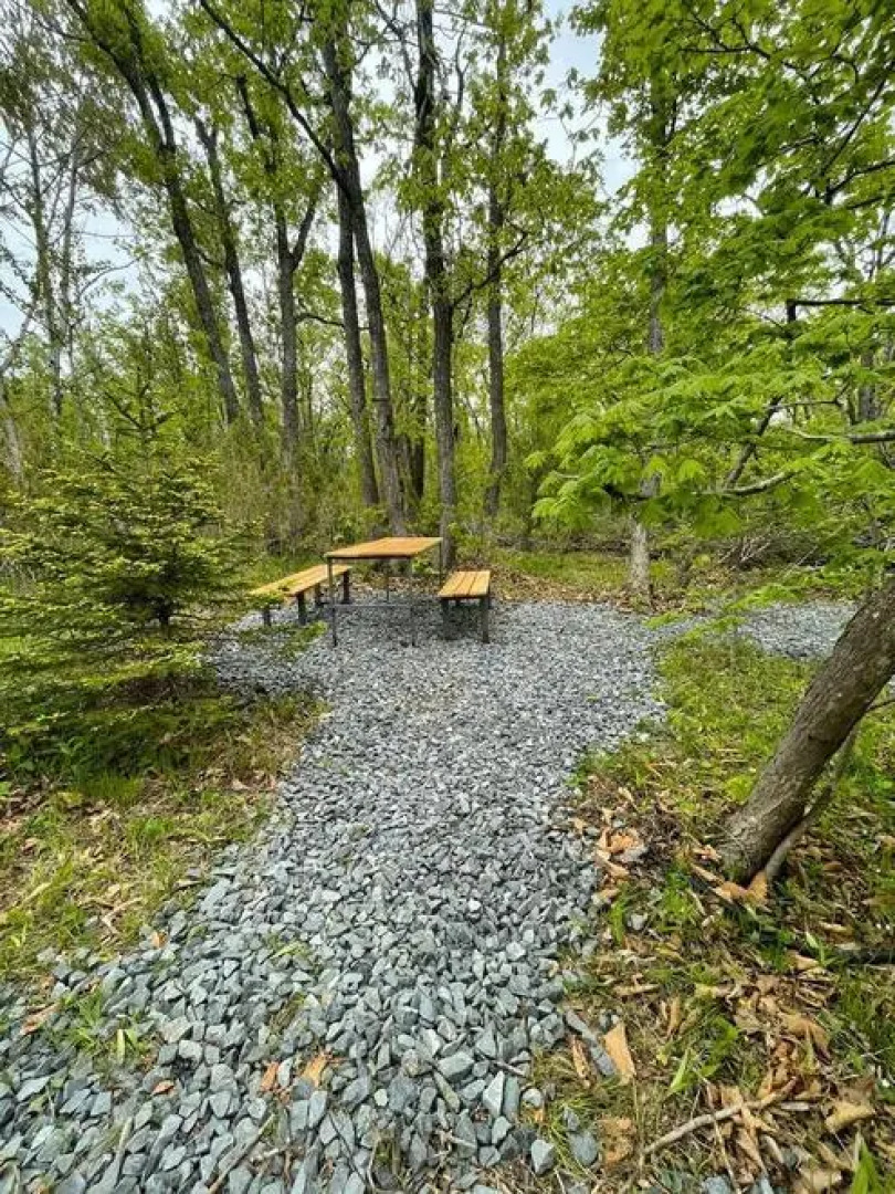 Русский Ренессанс