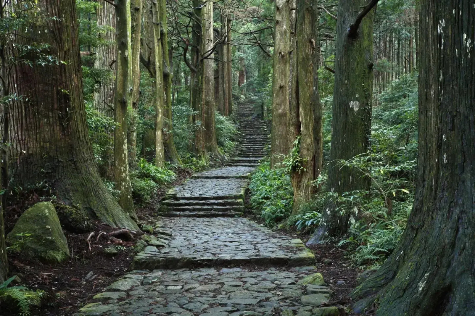 Guesthouse TAKAO