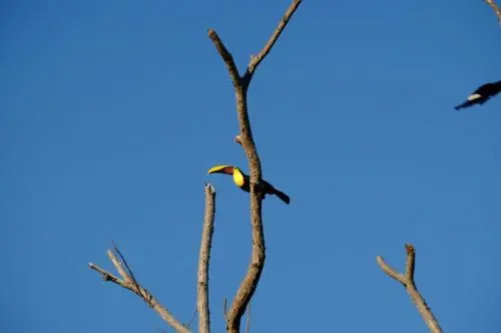 Camila 1 - Ocean, Nature, Relax, Central