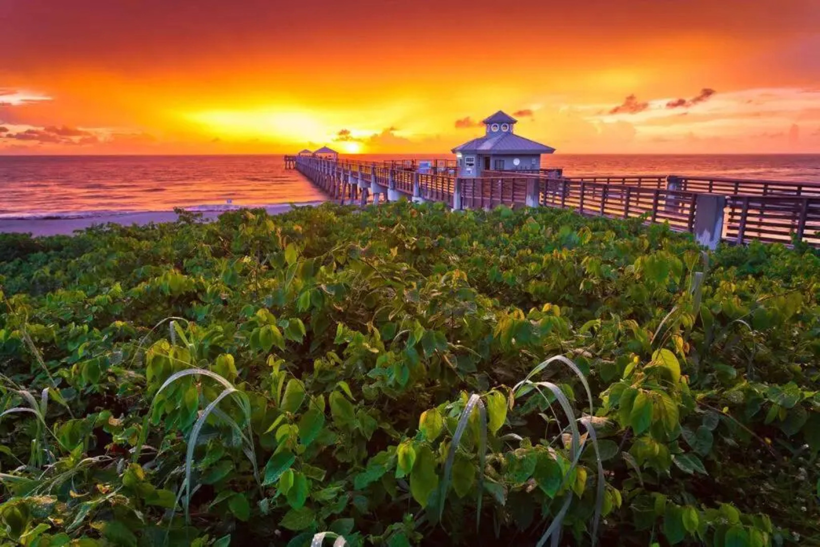 Golfers Paradise 4-hole PUTT-PUTT, 3b-2b home huge backyard, hammock