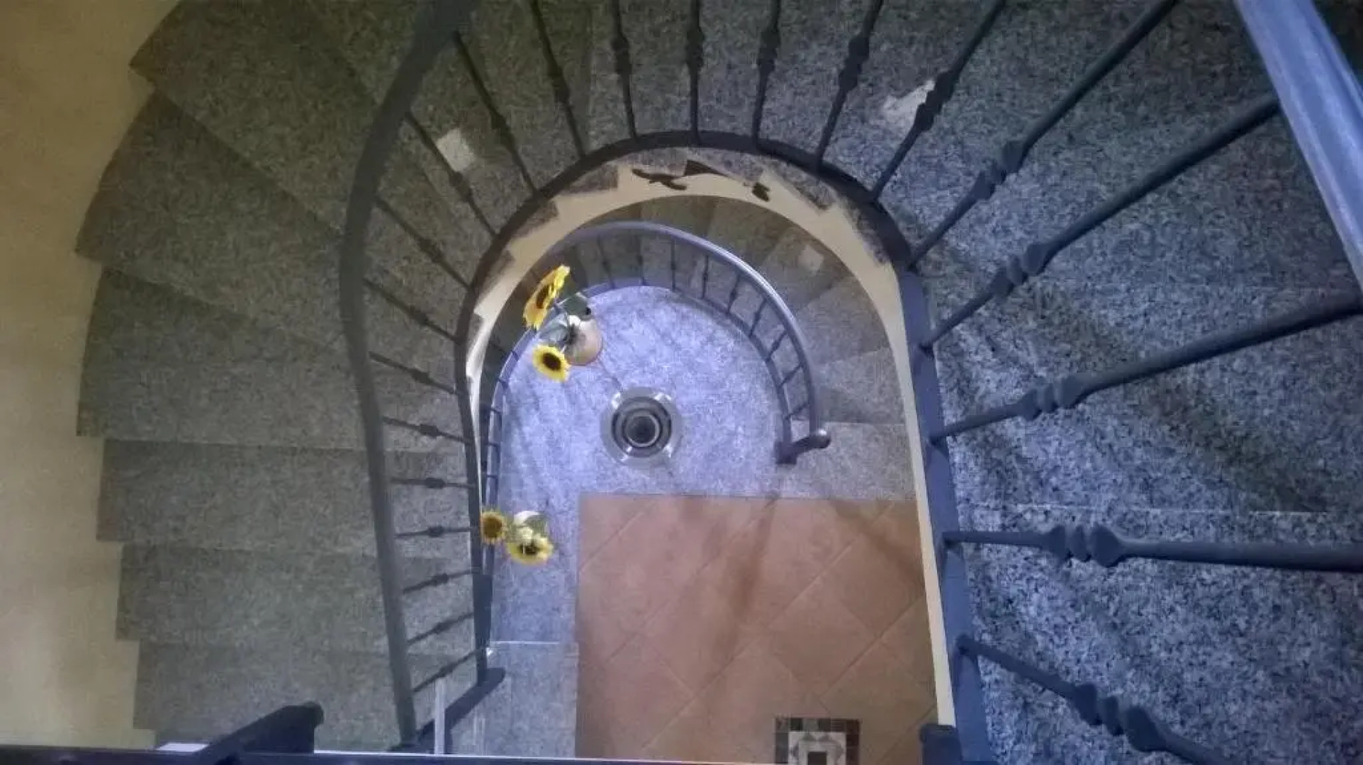 Il Girasole