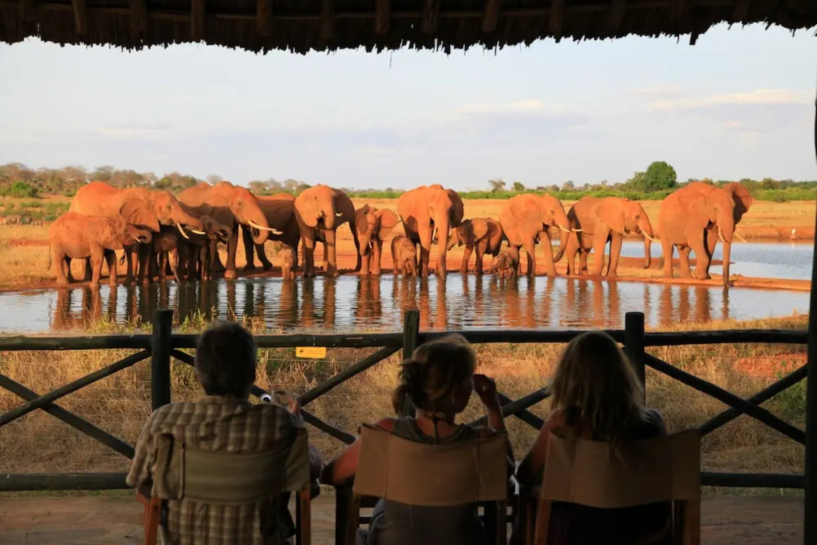 Voi Wildlife Lodge