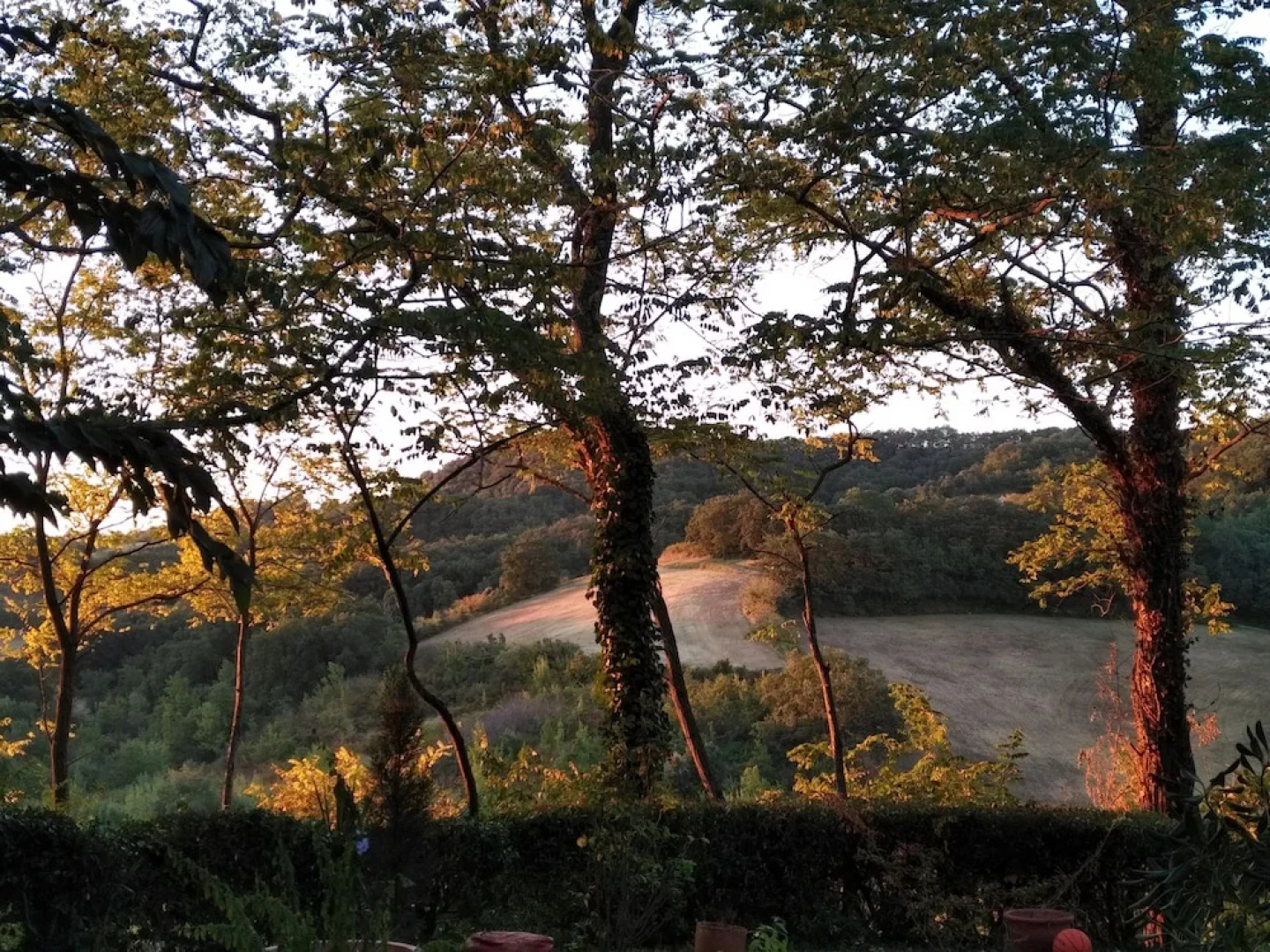 Domaine de Courbieres