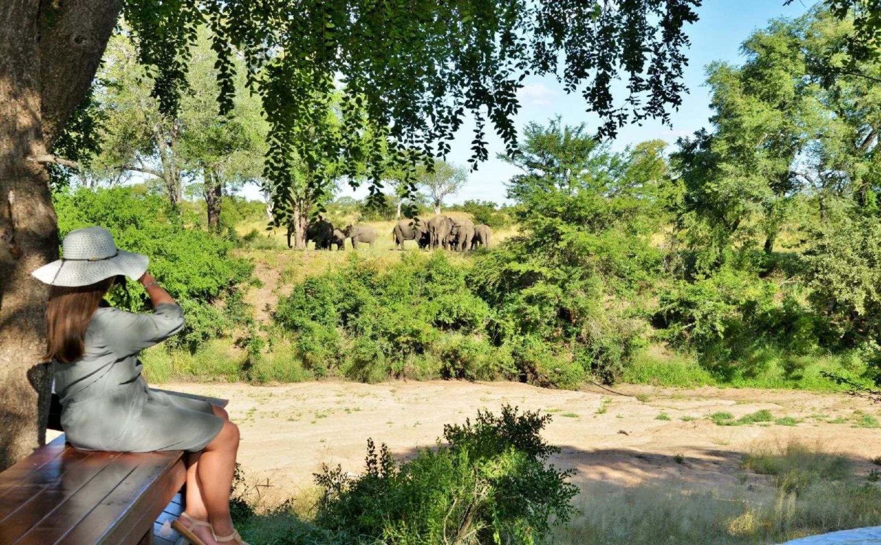 Imbali Safari Lodge