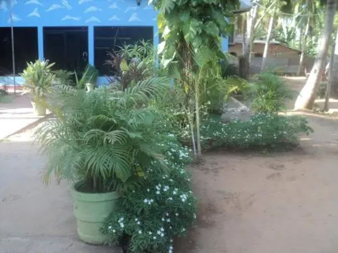 Puleys Balmoral Hotel and Rest House