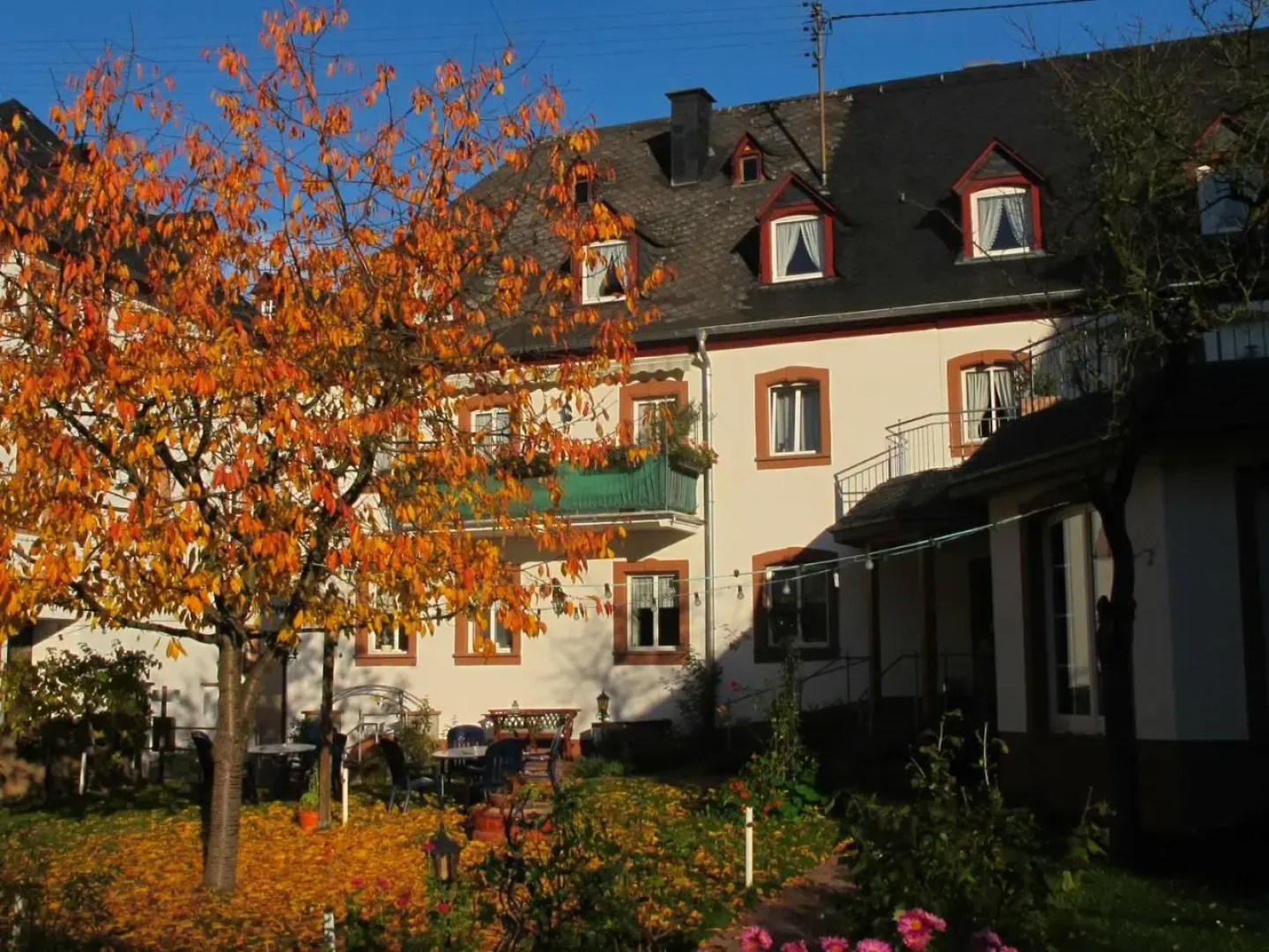 Weinhof Michael Morbach