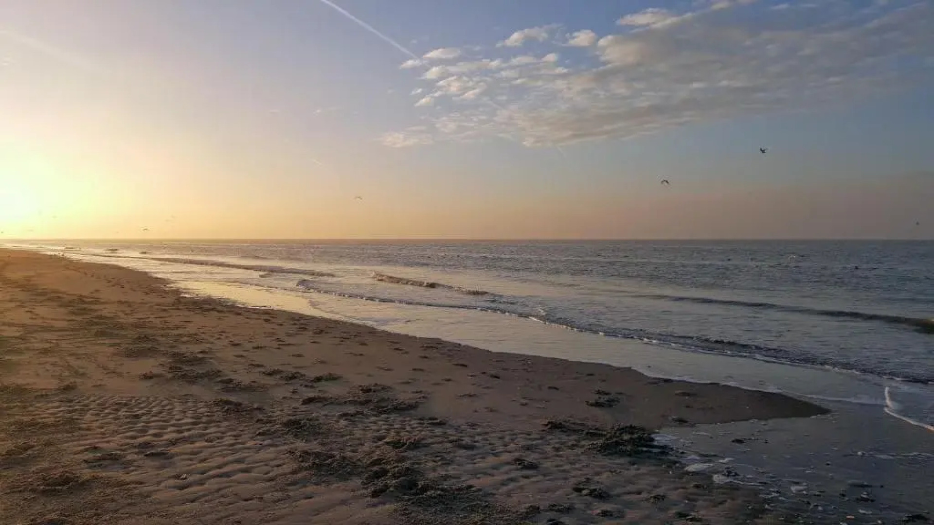 Gezellige studio in residentie Maison Blanche op 50m van het strand