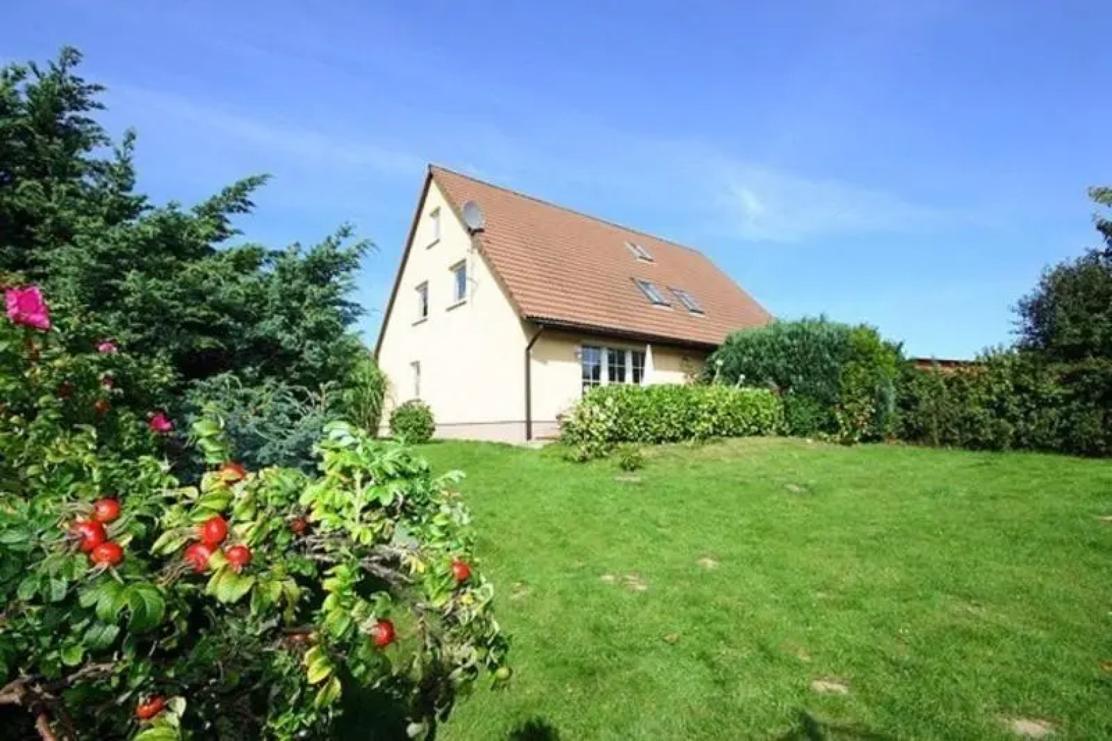 Landferienhaus Sonnenblume