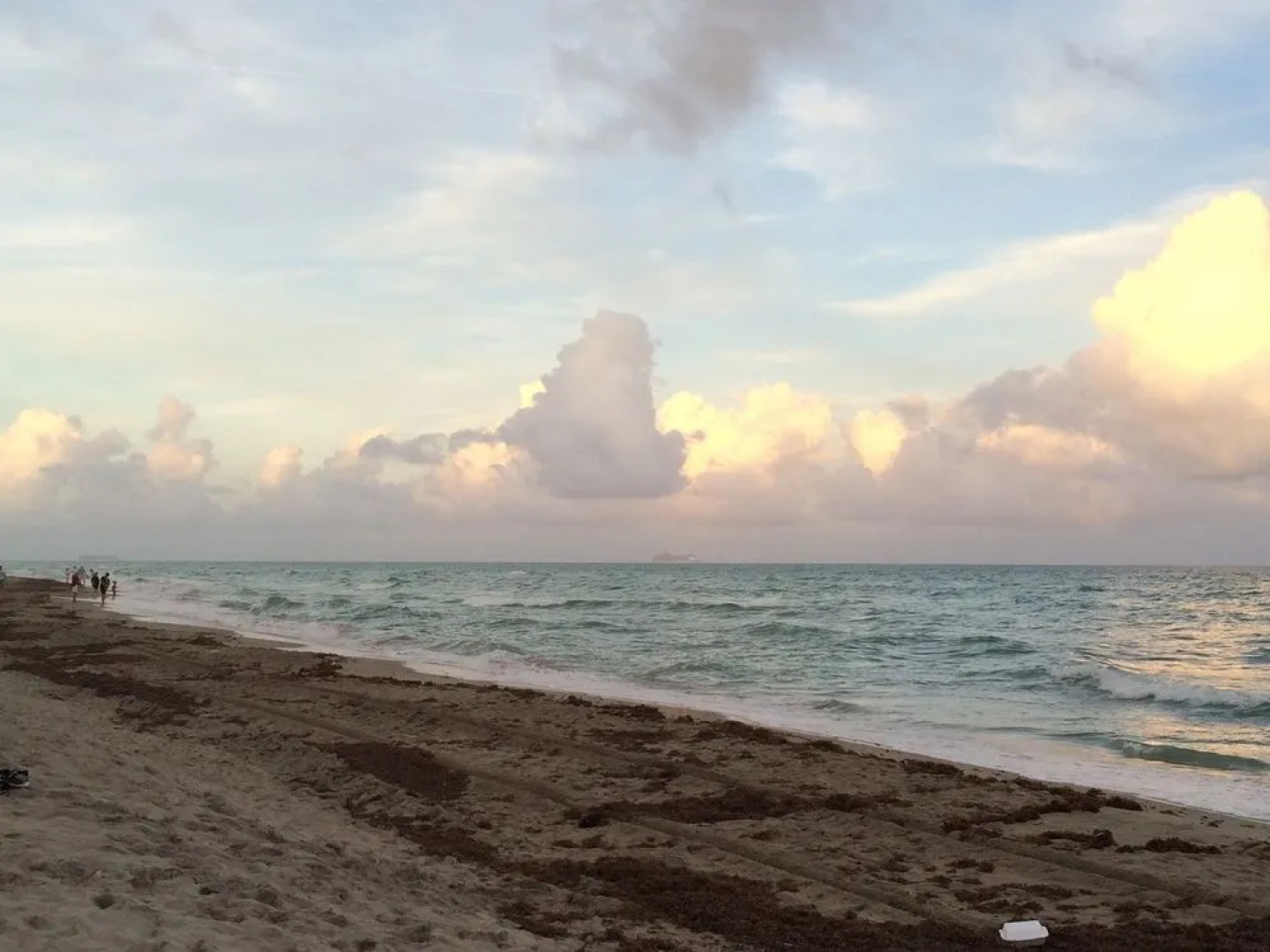 Hollywood Apartment by the Sea