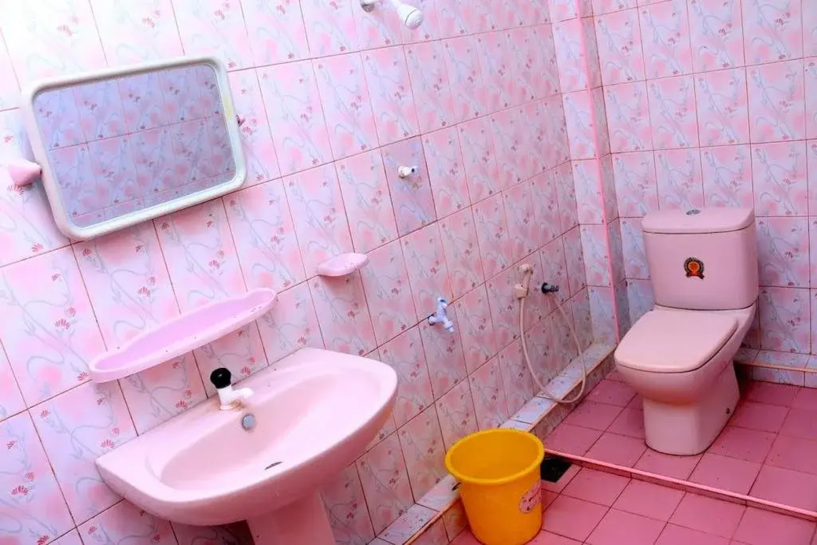 Gandhi Guest House & White Palace