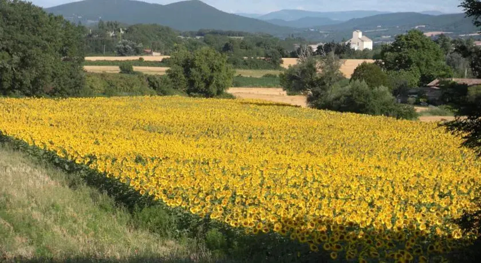 Gîte Le Mas des Lavandières
