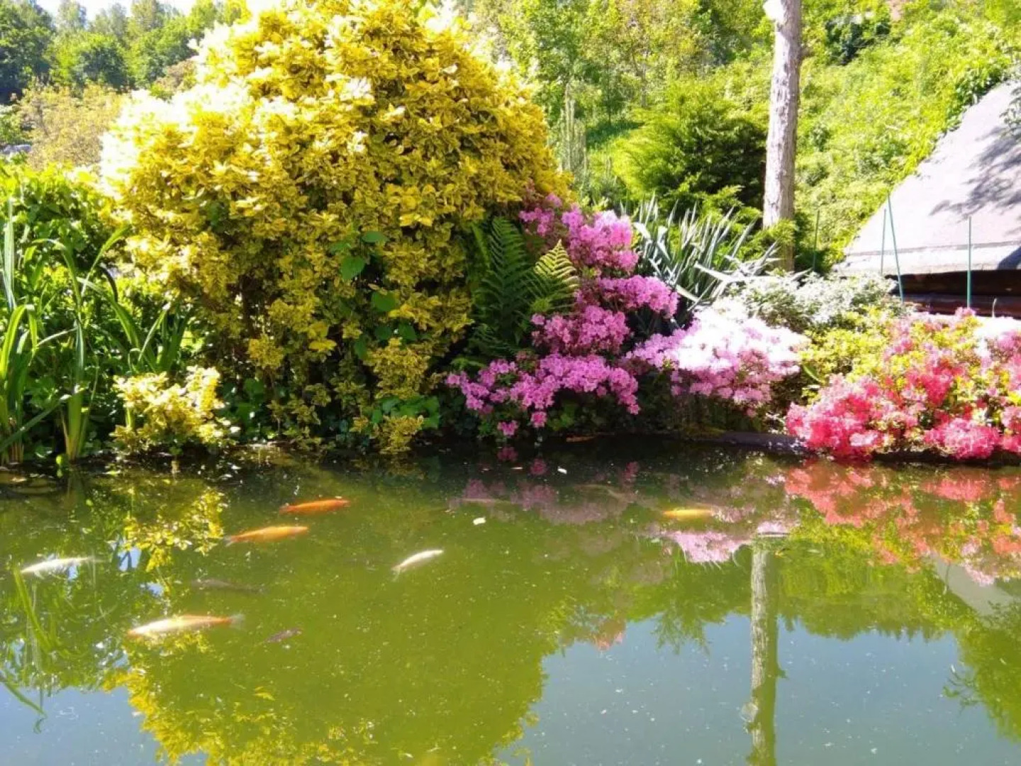 Apartament nad Potokiem