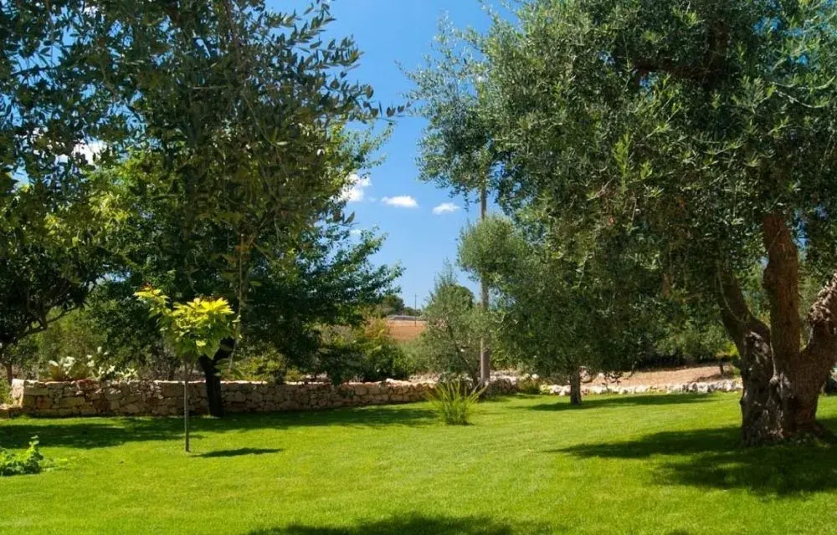 Trullo Sovrano Exclusive B&B