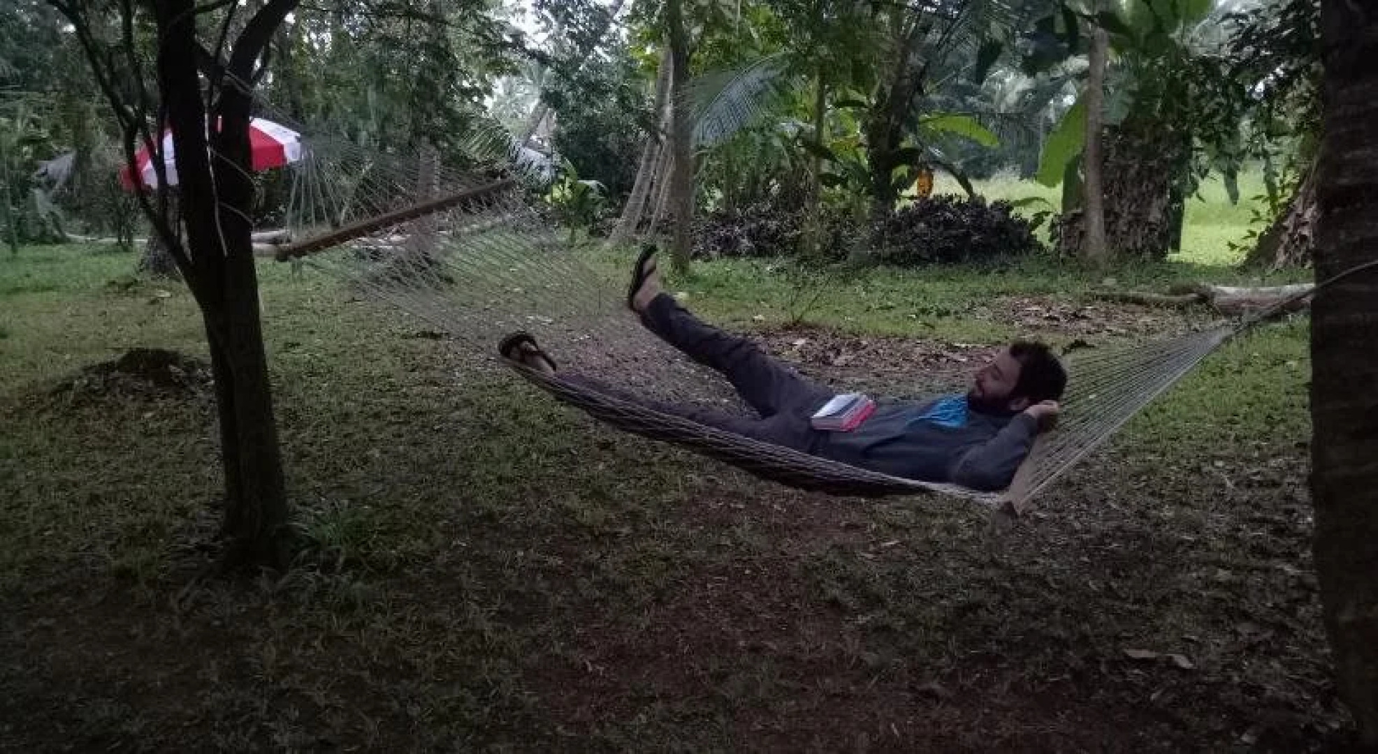 Palmgrove Lake Resort