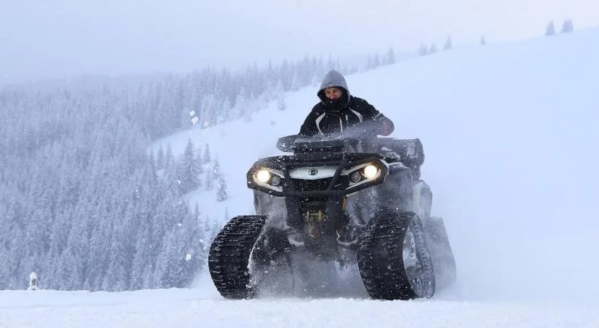 Гостиница Шелтер