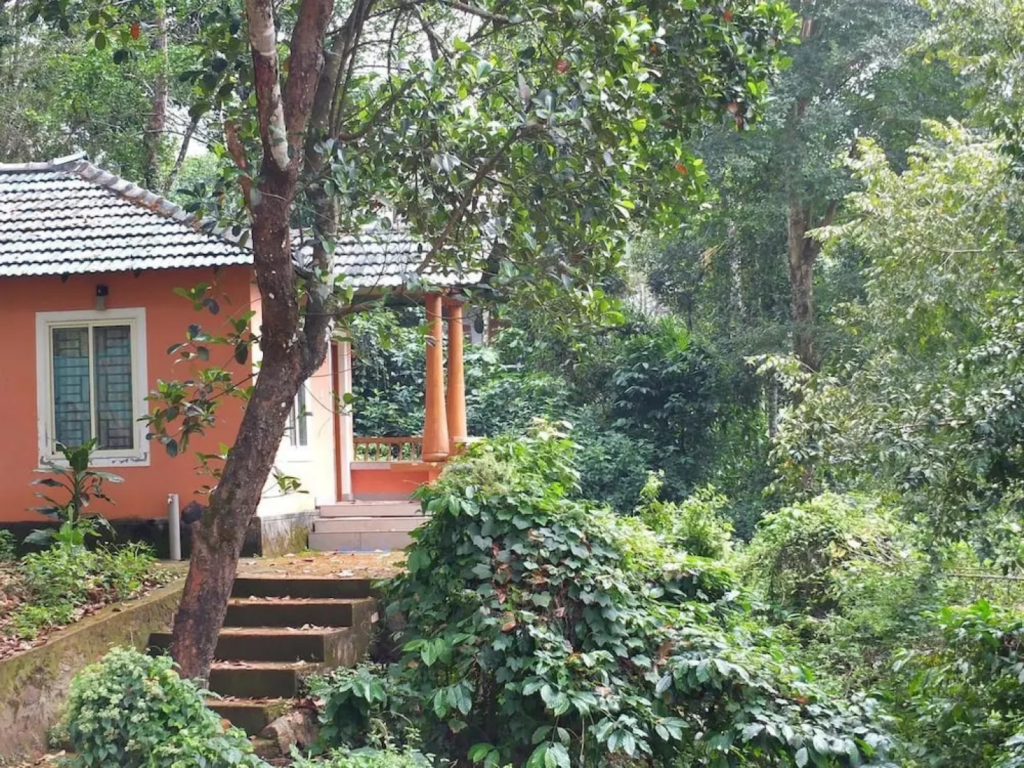 Jungle Valley Resort