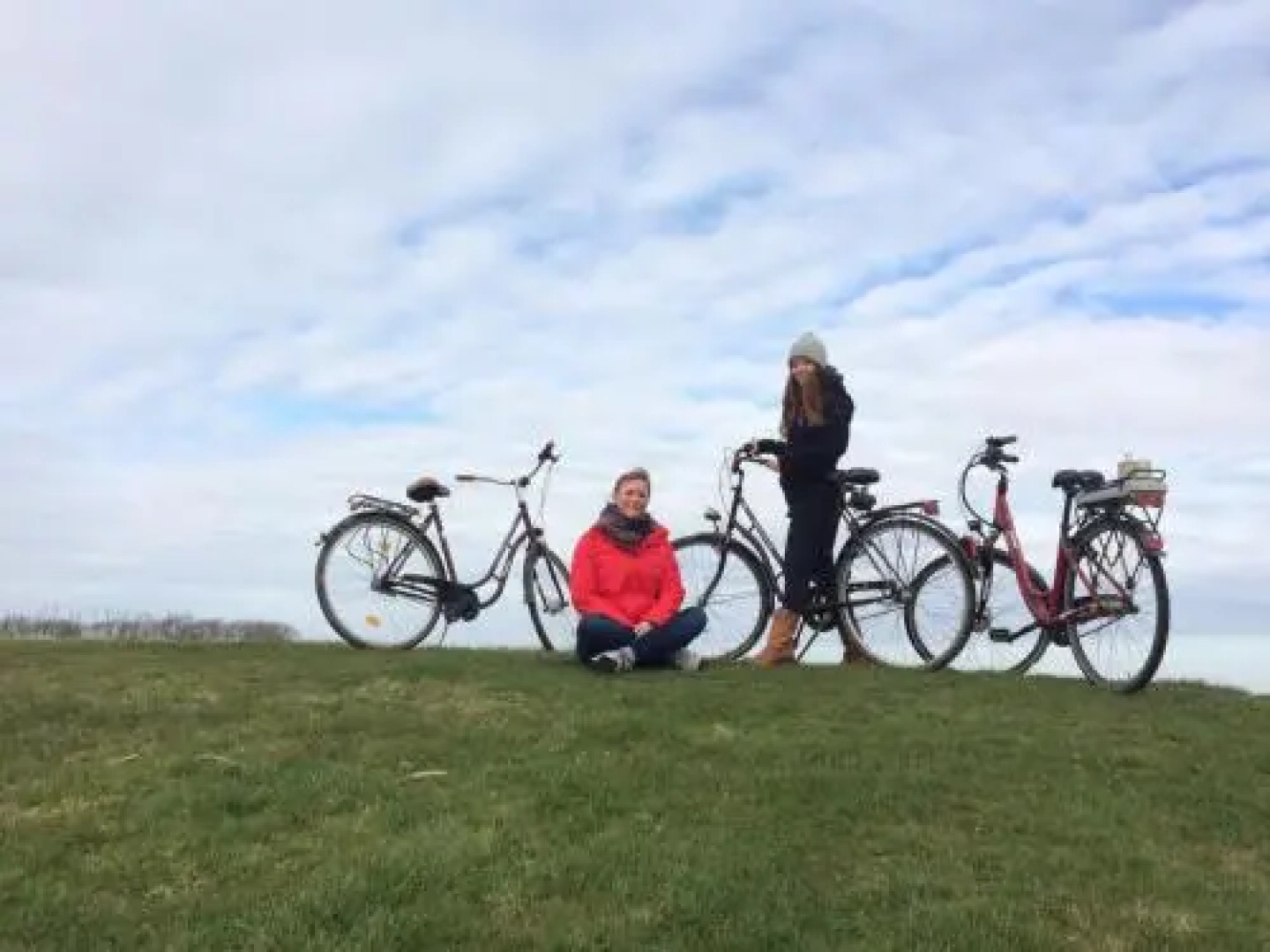 Reetdachhaus Deichkrone