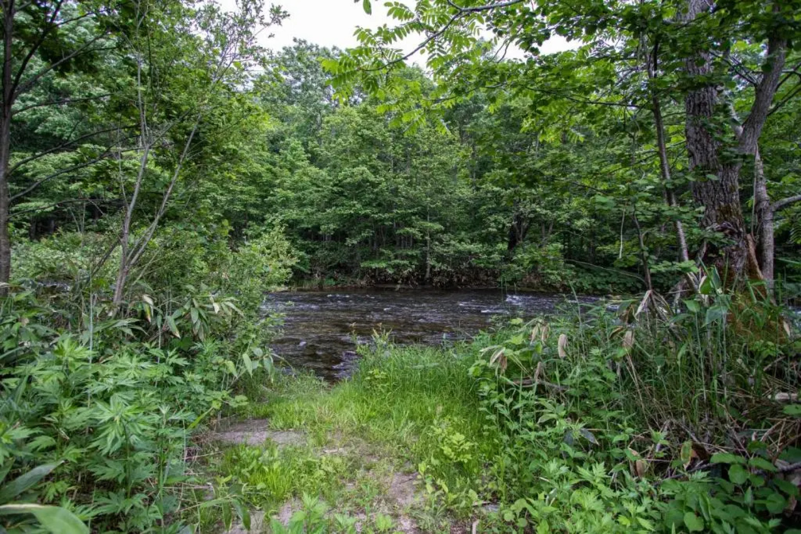 The Skilas Kiroro - Vacation STAY 11606