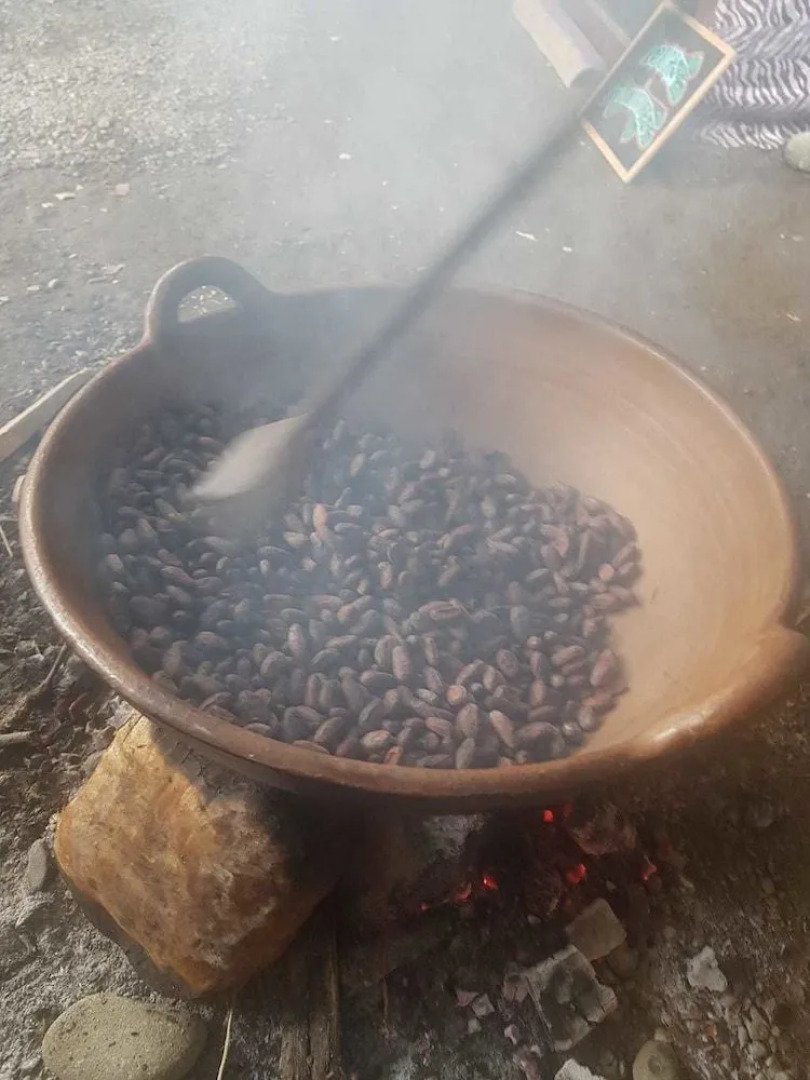 Beta Life Eco Proyecto Hostel