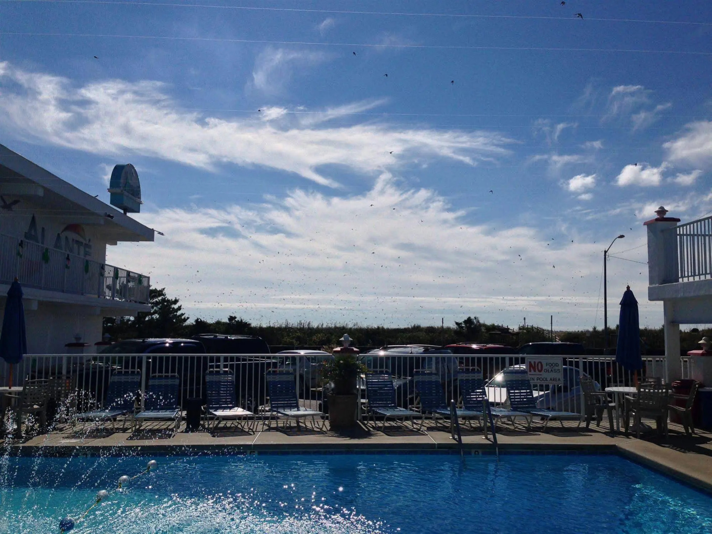 Alante Oceanfront Motel