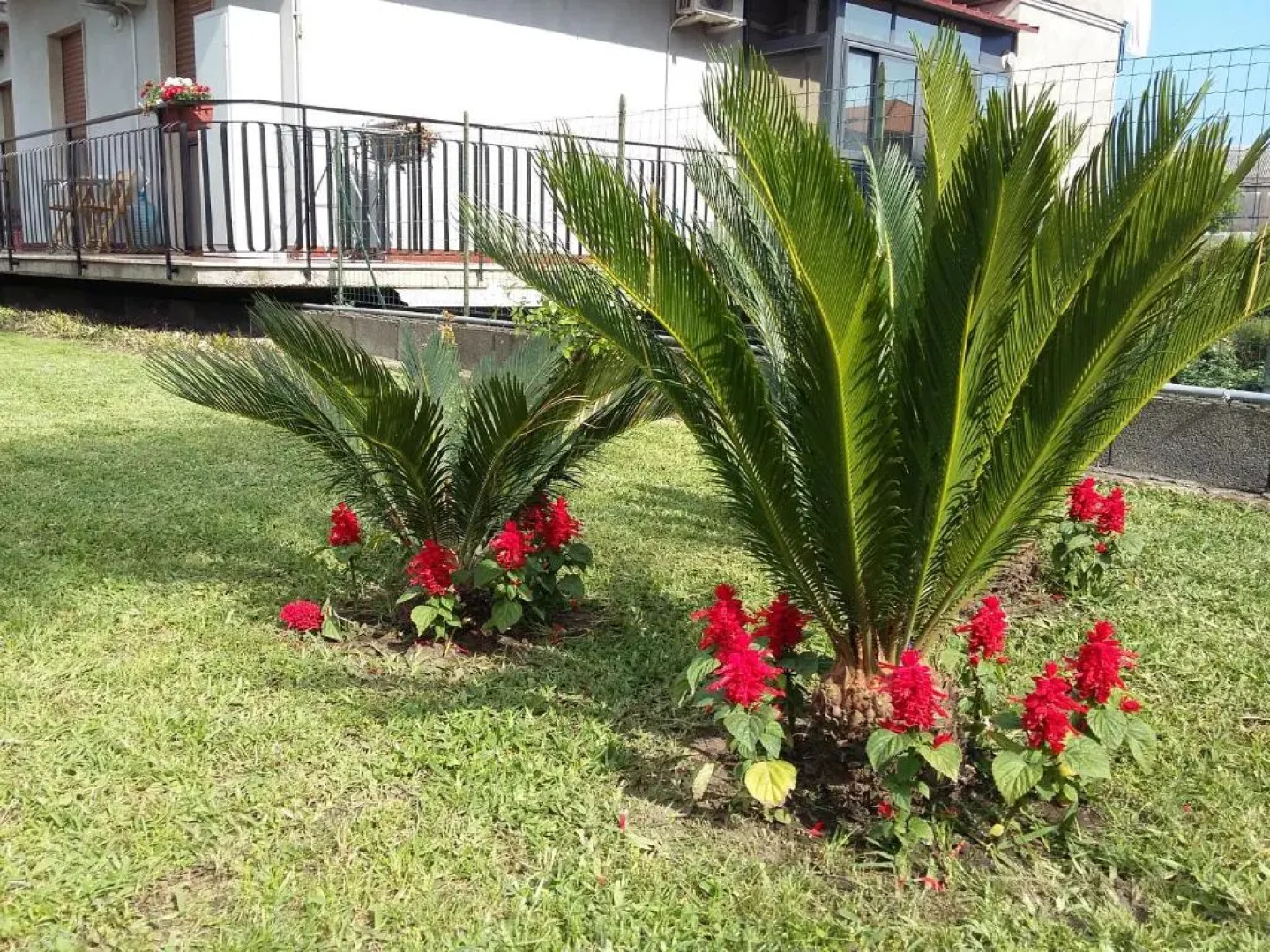 Appartamenti Sole delle Aci