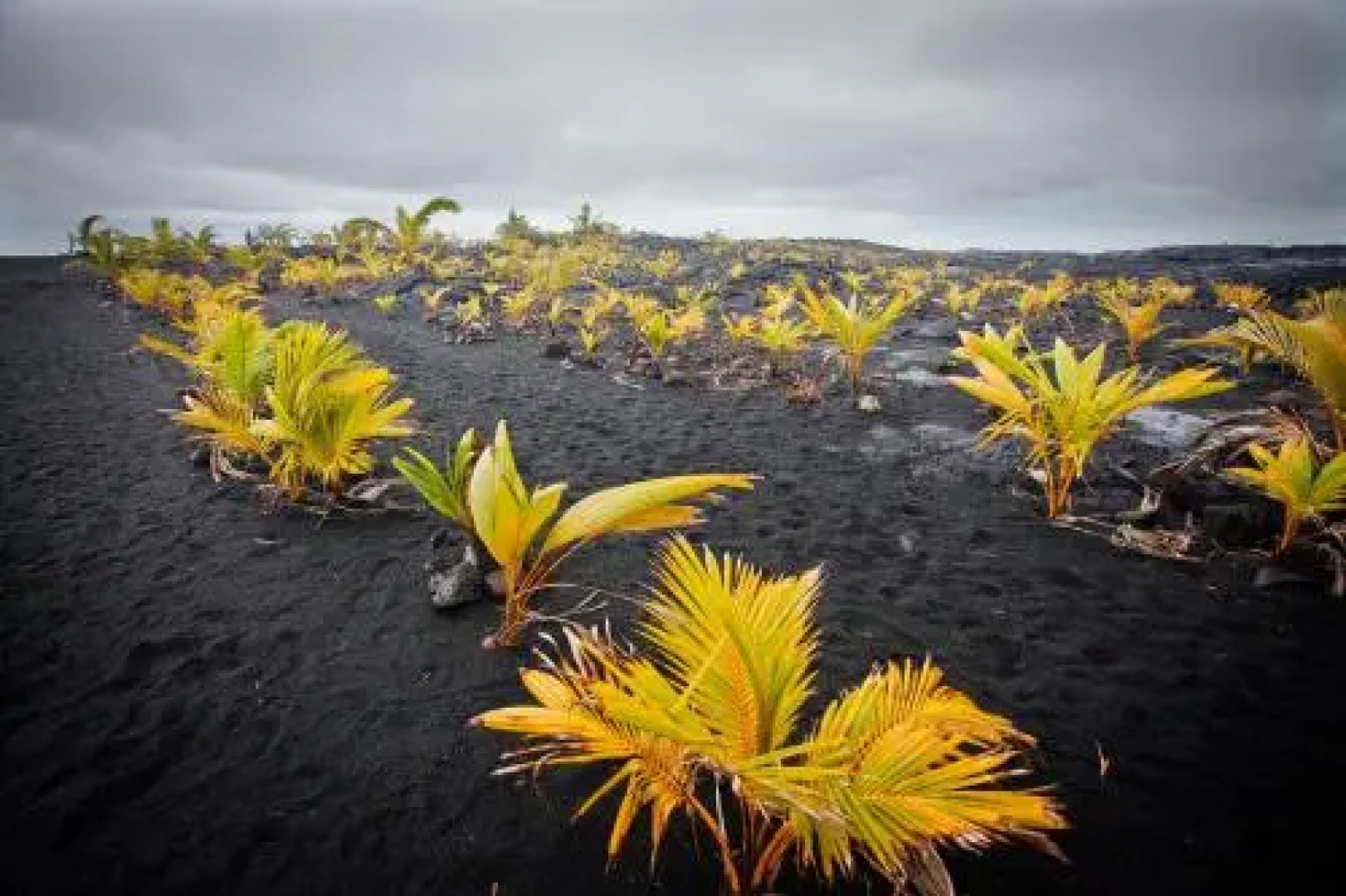 The Bali House & Bali Cottage at Kehena Beach