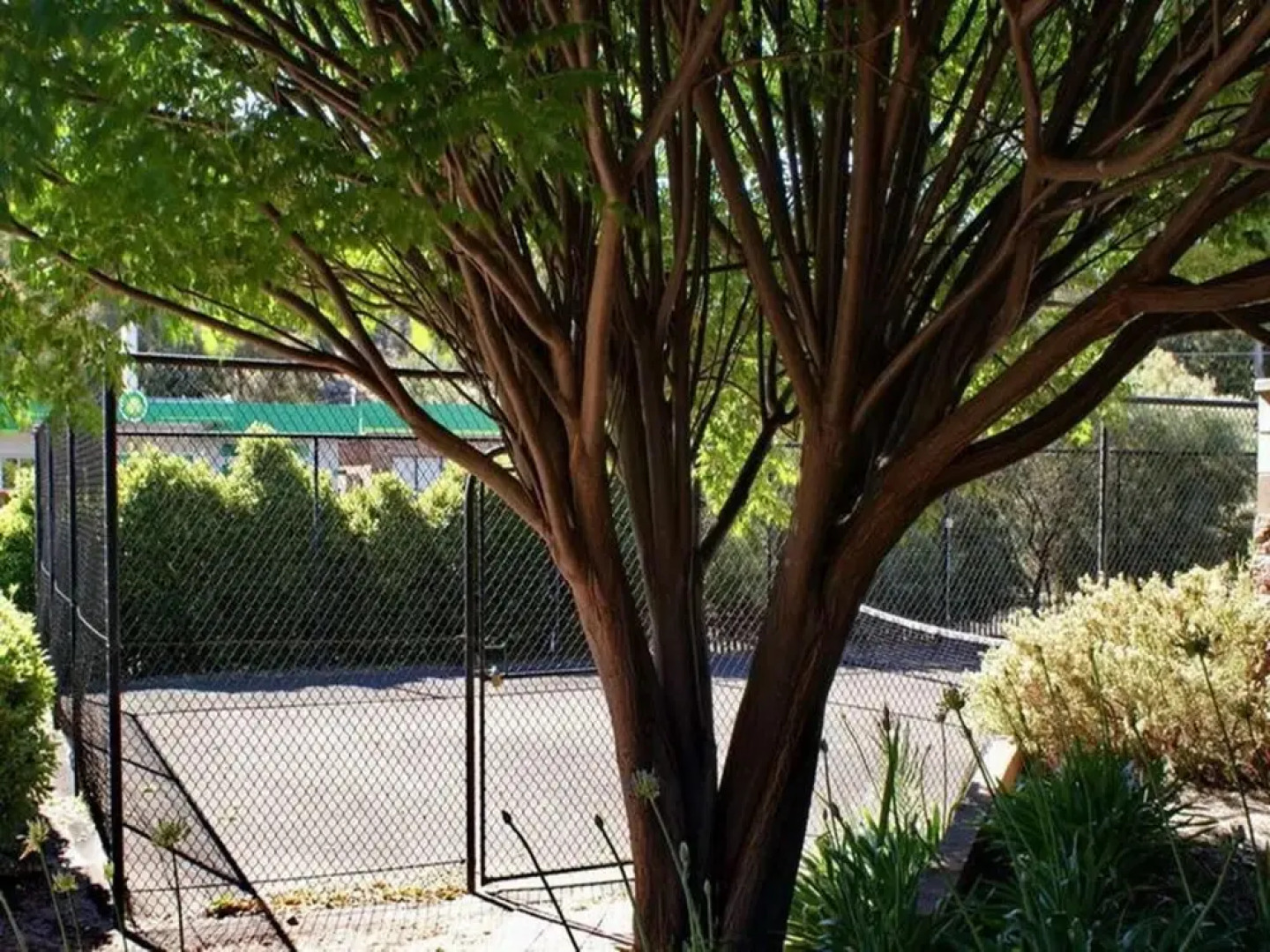 Nelsons of Bridgetown