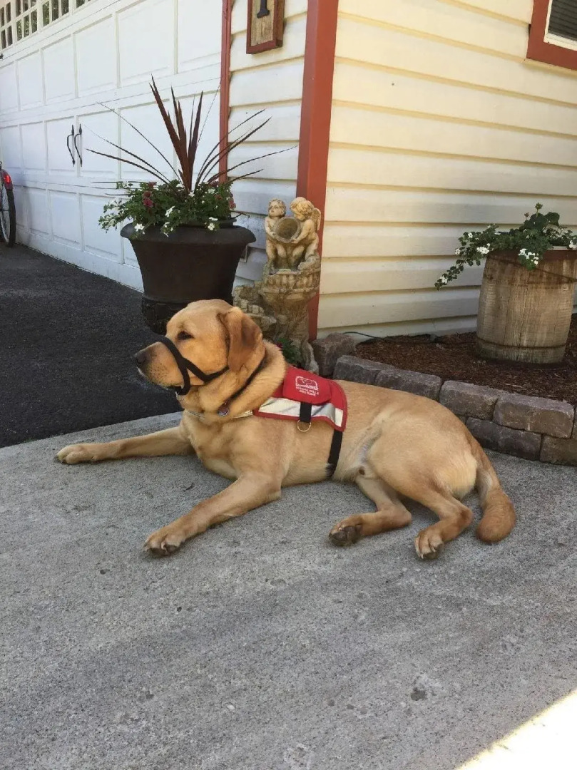 Wyndhaven Cottage Bed & Breakfast