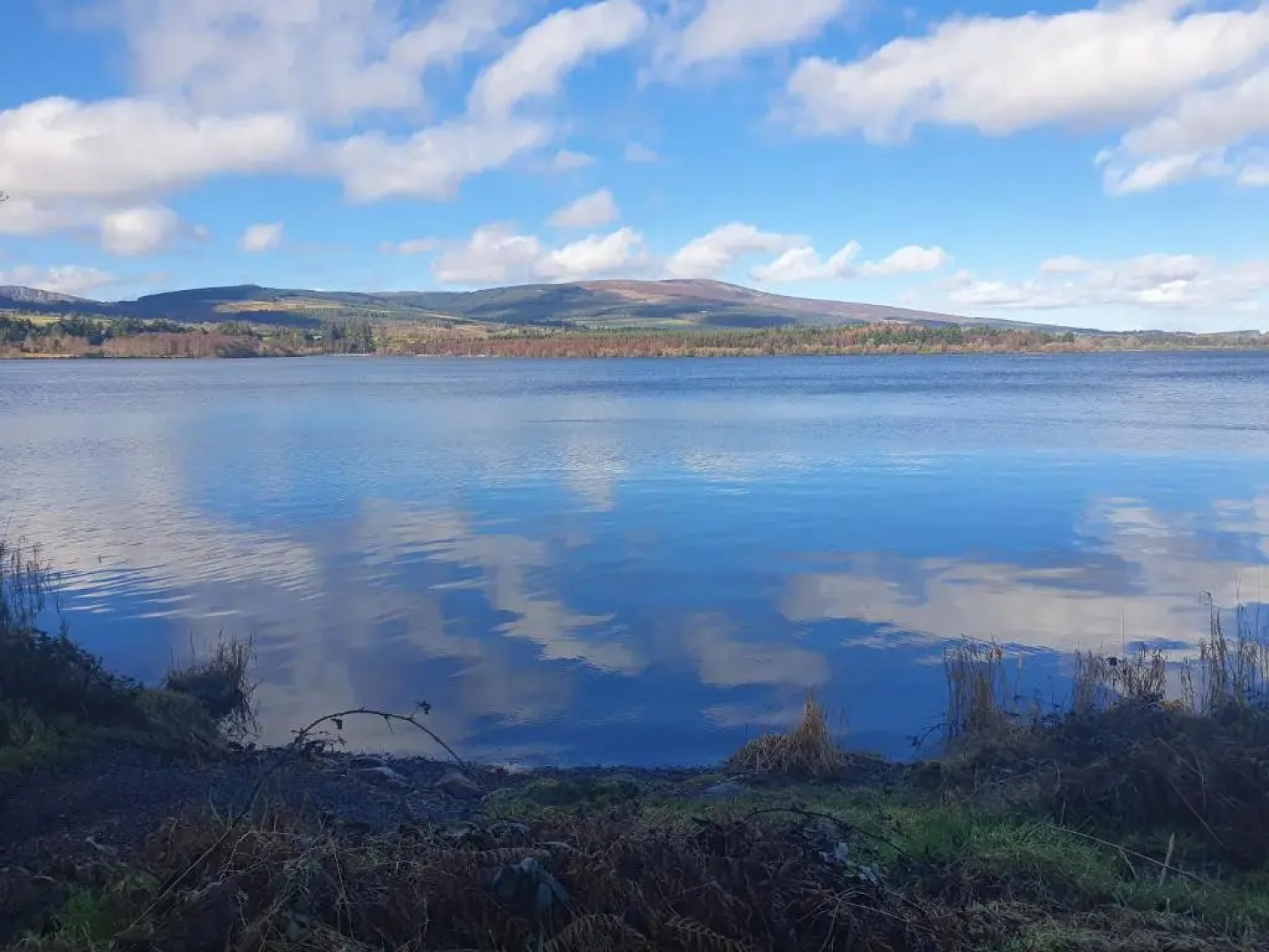 Cracatinni Mews (Adults Only)