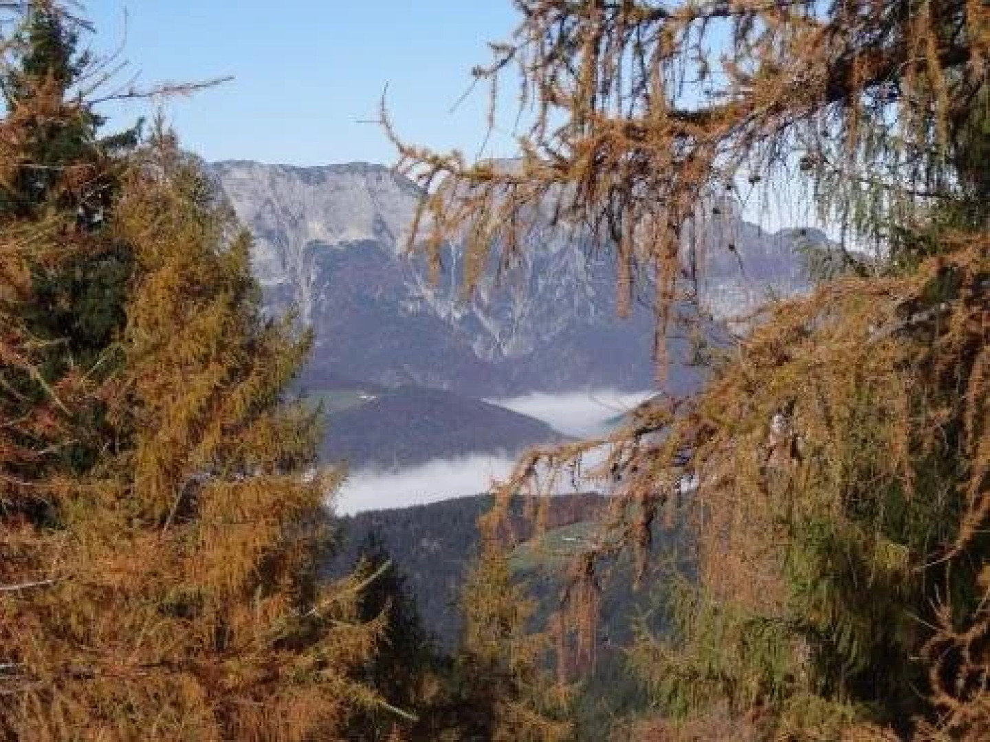 Bauernhof Steinlehen