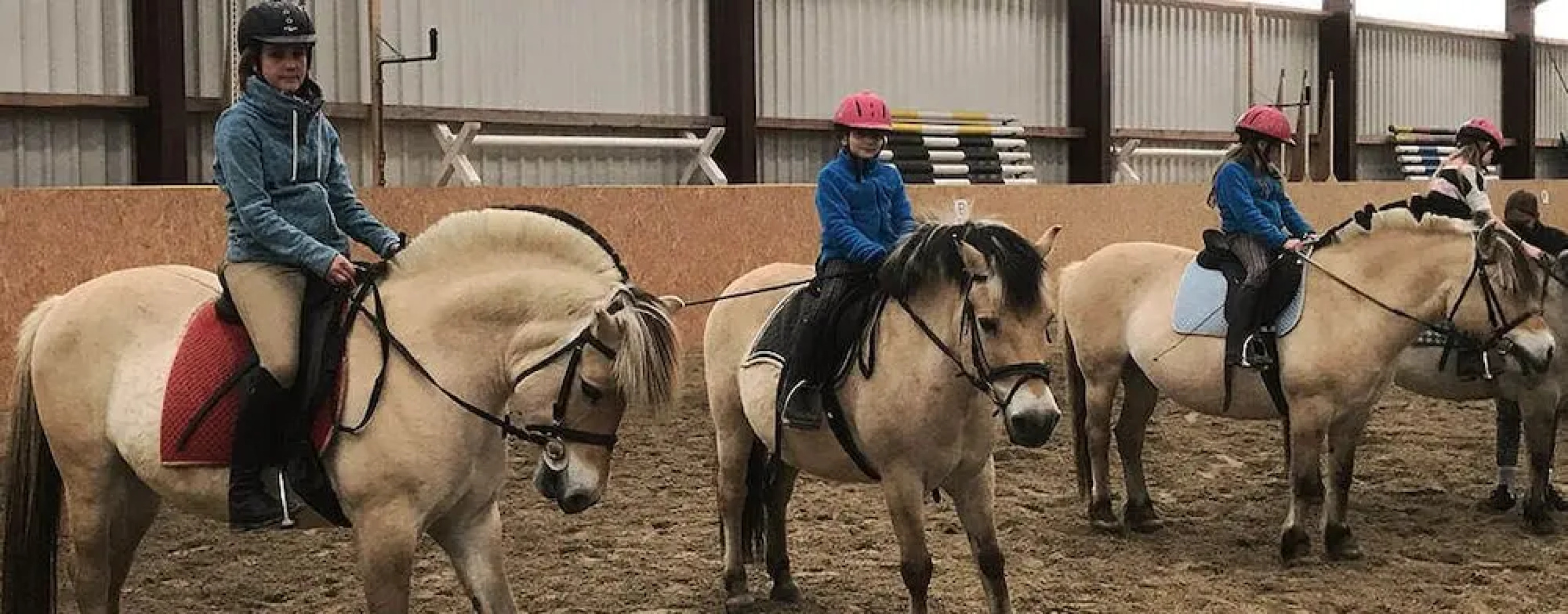 Reit- Und Ferienhof Maack