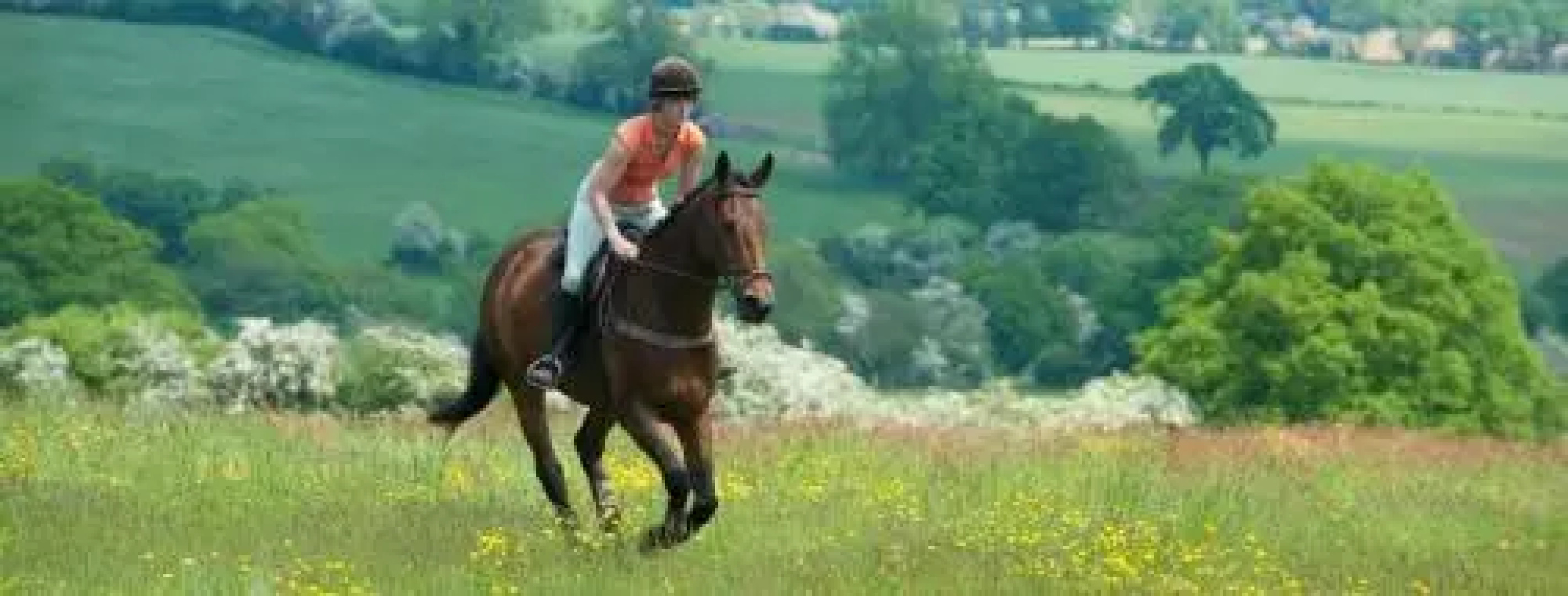 The Old Rectory of St James