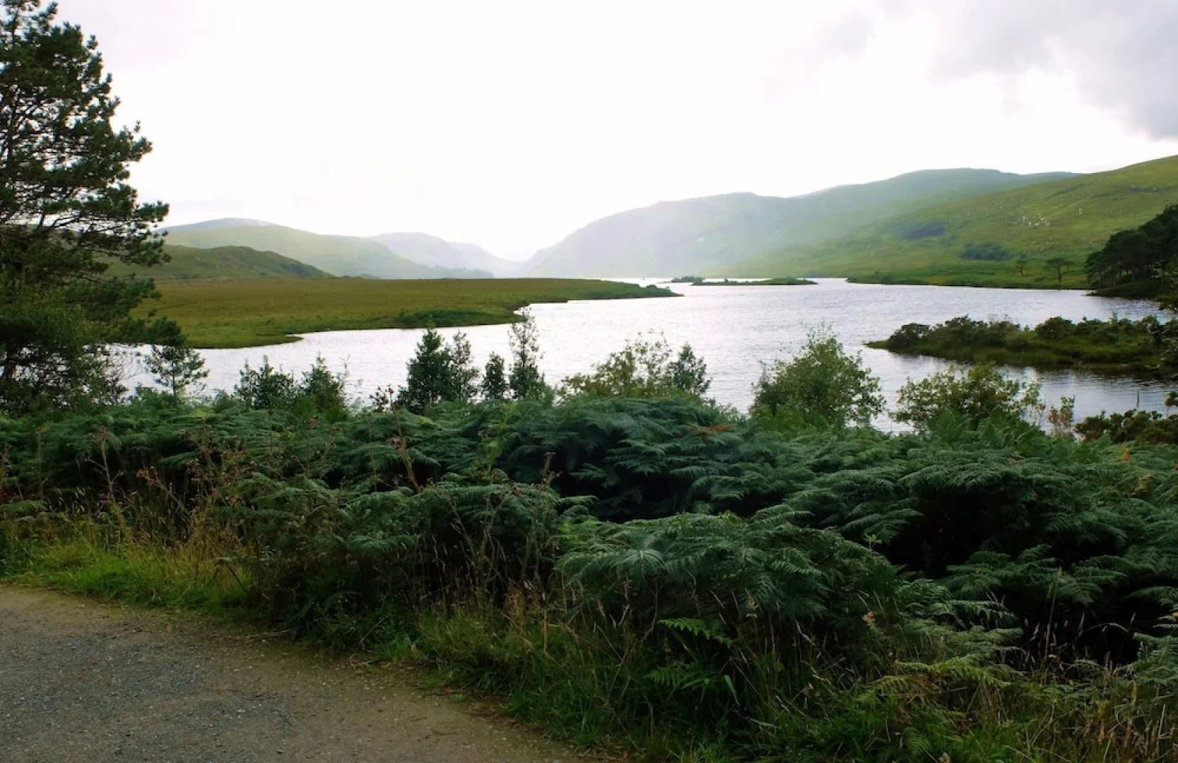 Willow Cottage Donegal B&B