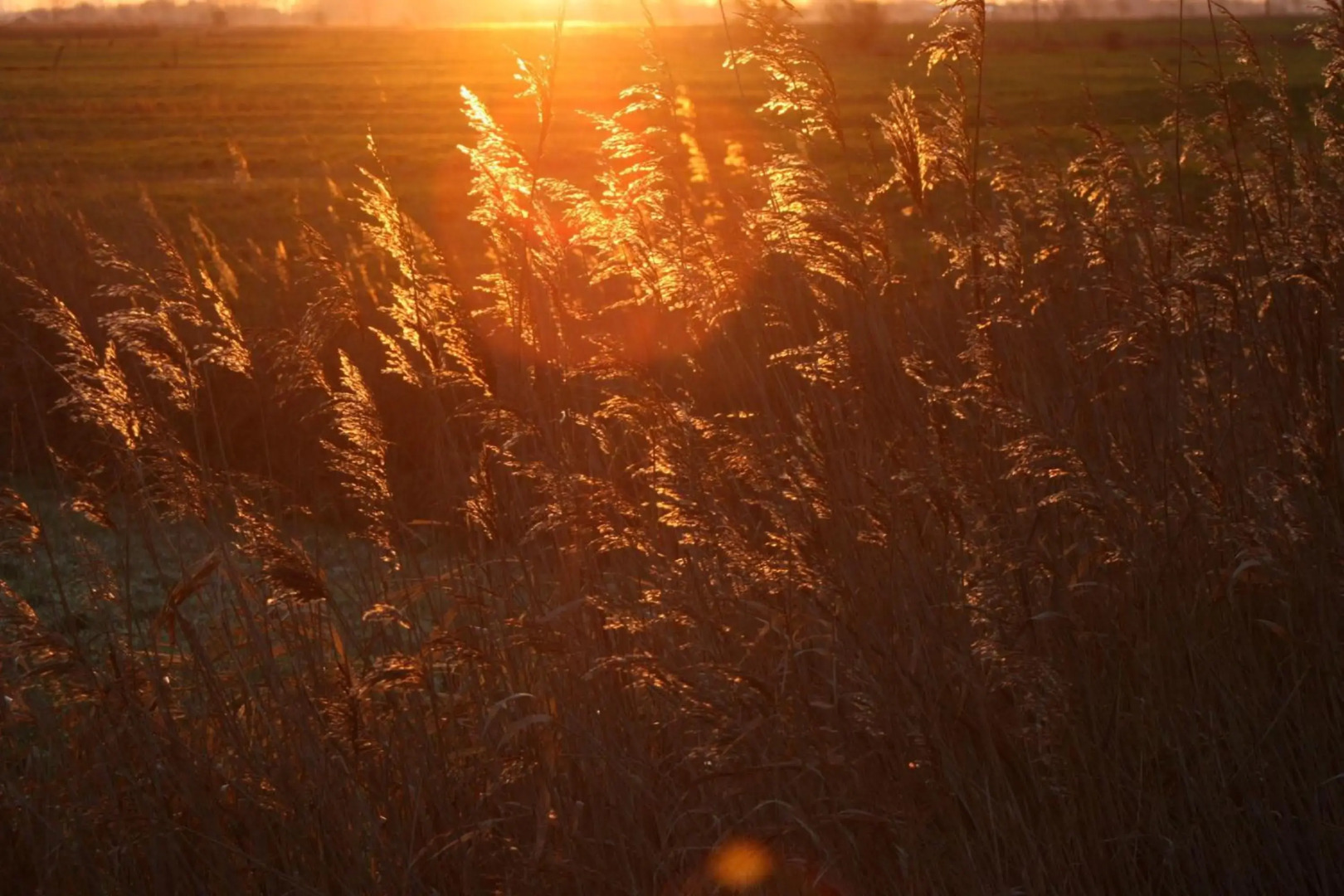 Ferienwohnung-SonnenMeer