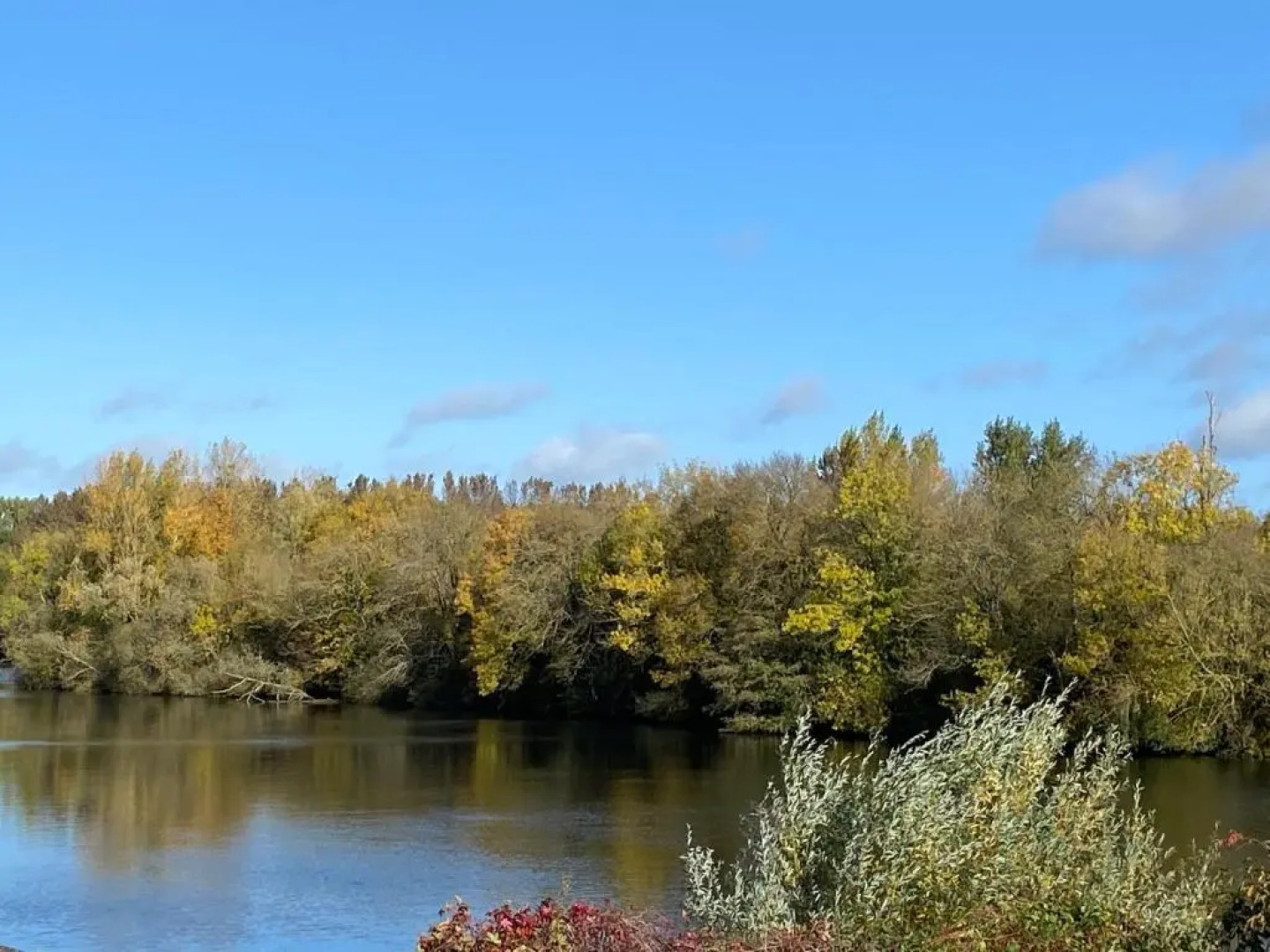 Le Petit Nid de Beauval